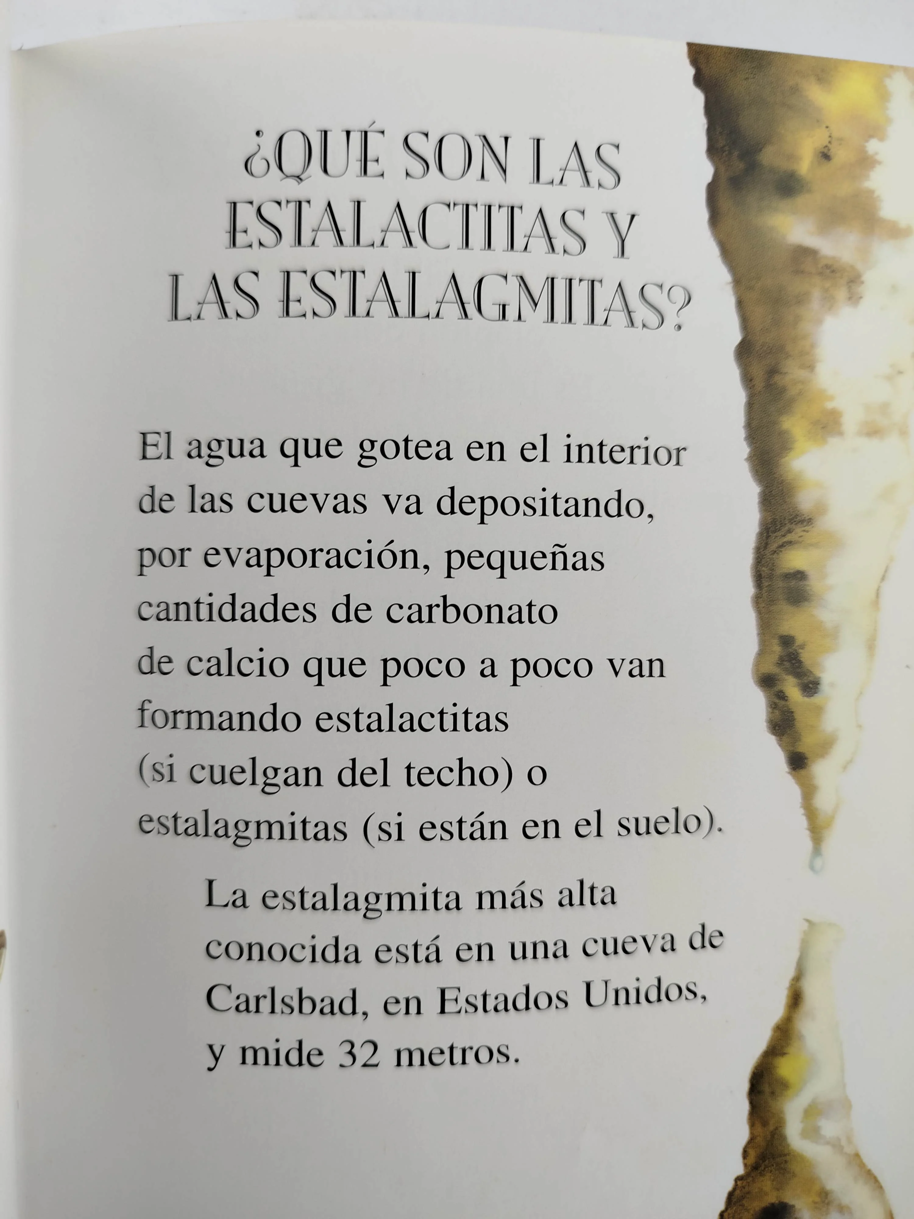 250 preguntas y respuestas - Image 2
