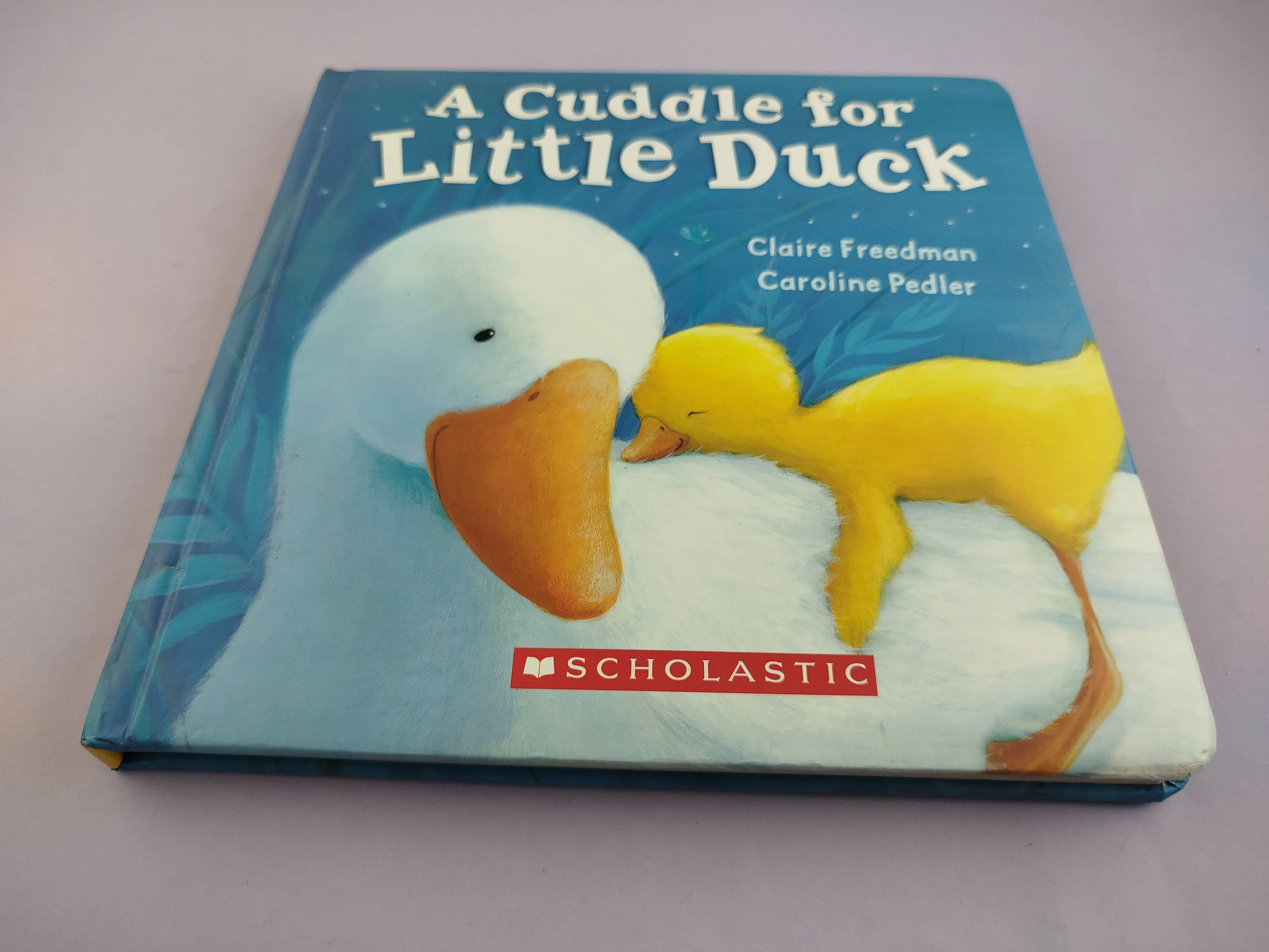 A Cuddle For Little Duck - Image 2