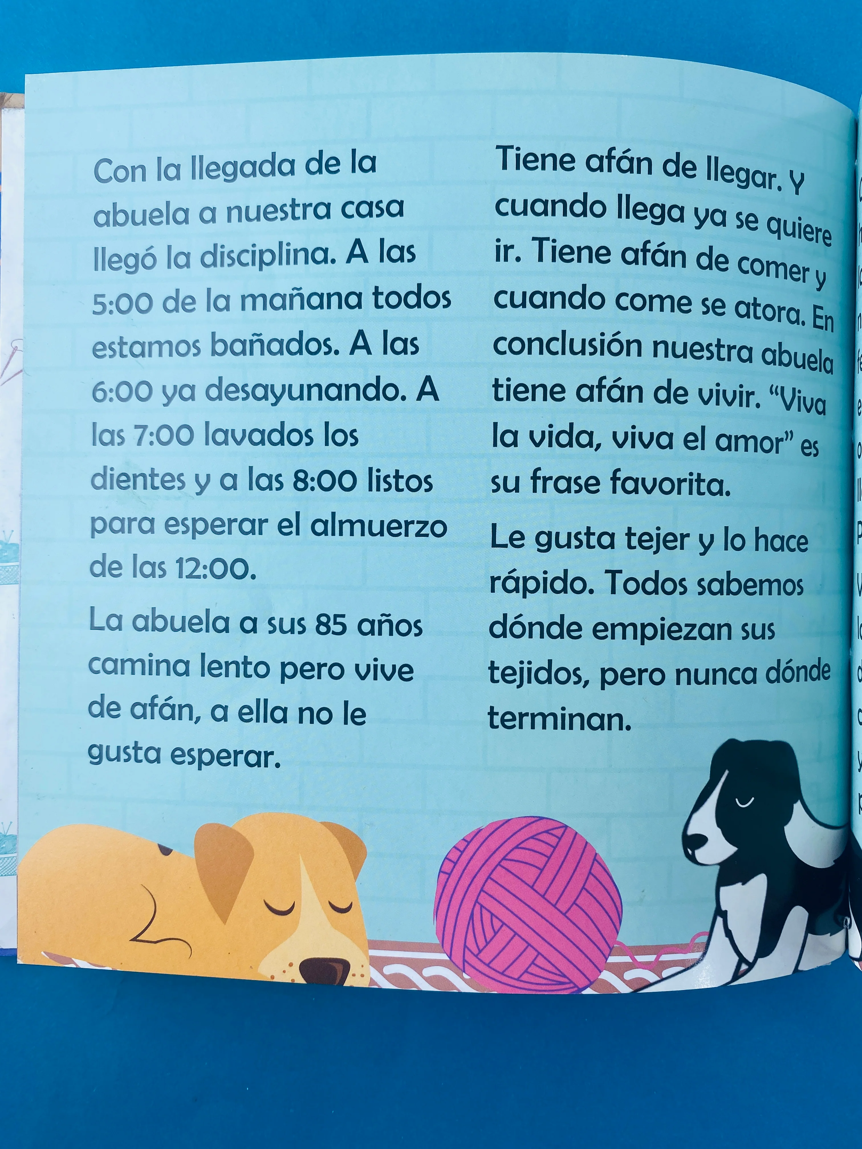 Abuela, ¡bienvenidad a casa! - Image 4