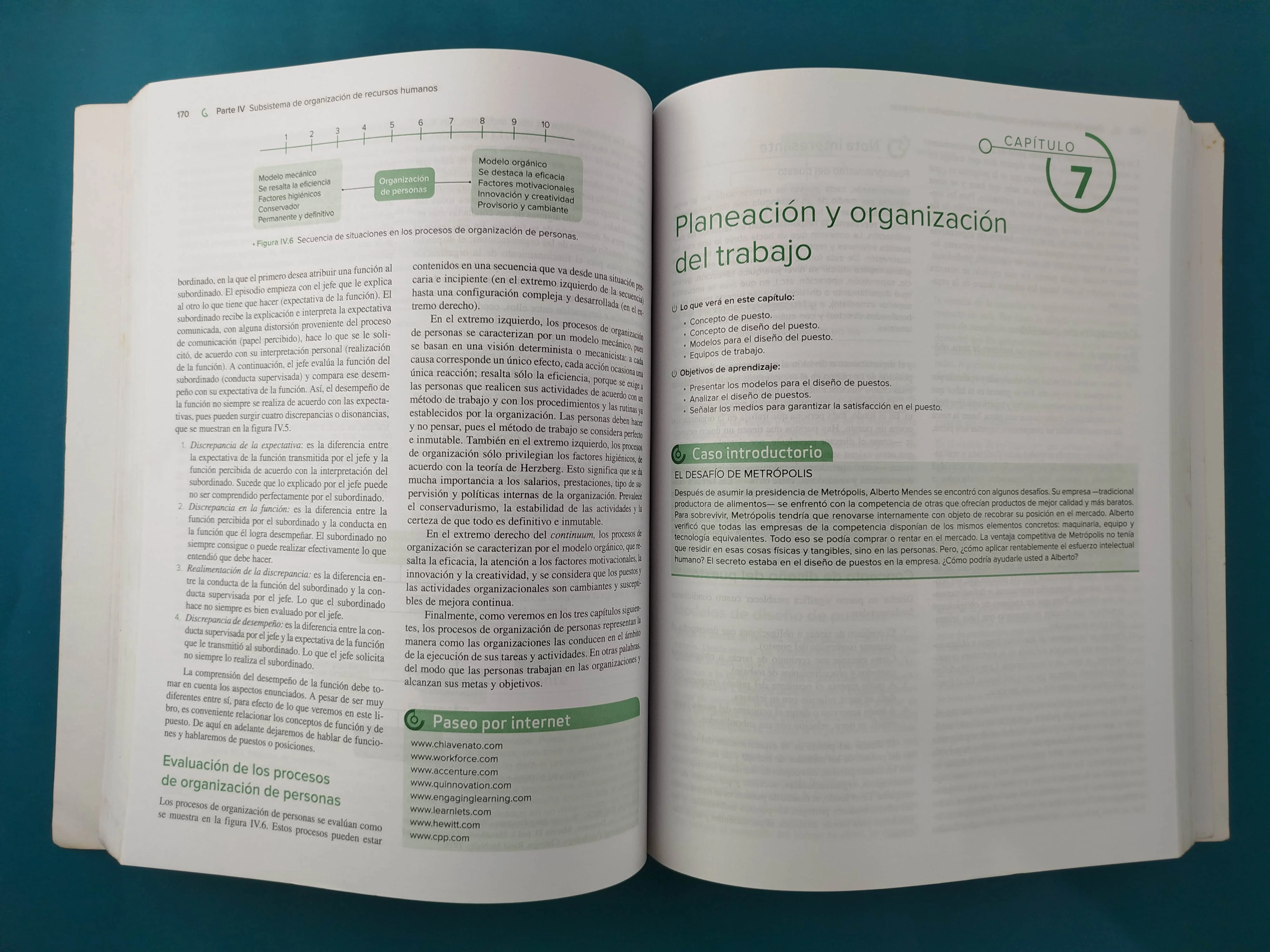 Administración De Recursos Humanos 10a ed - Image 3