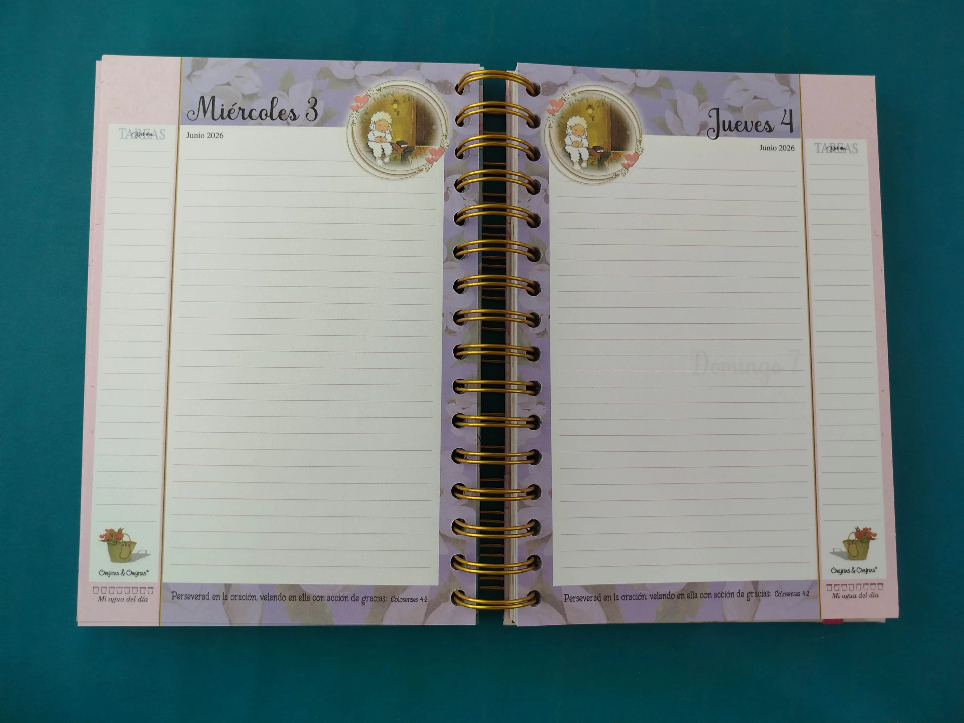Agenda Ovejitas 2026 En Ti Confio Señor rosa-azul - Image 3