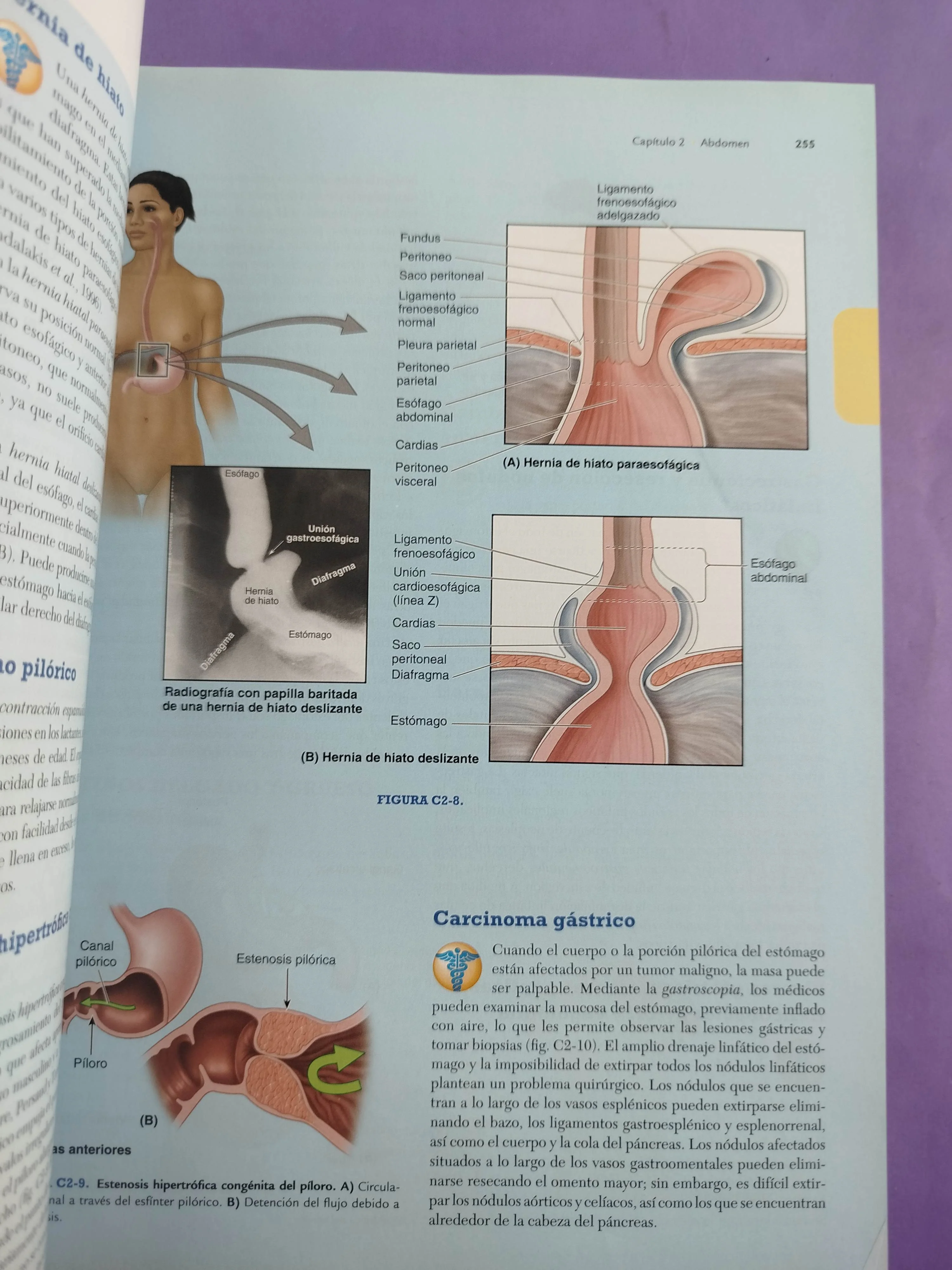 Anatomía con orientación clínica séptima edición - Image 2