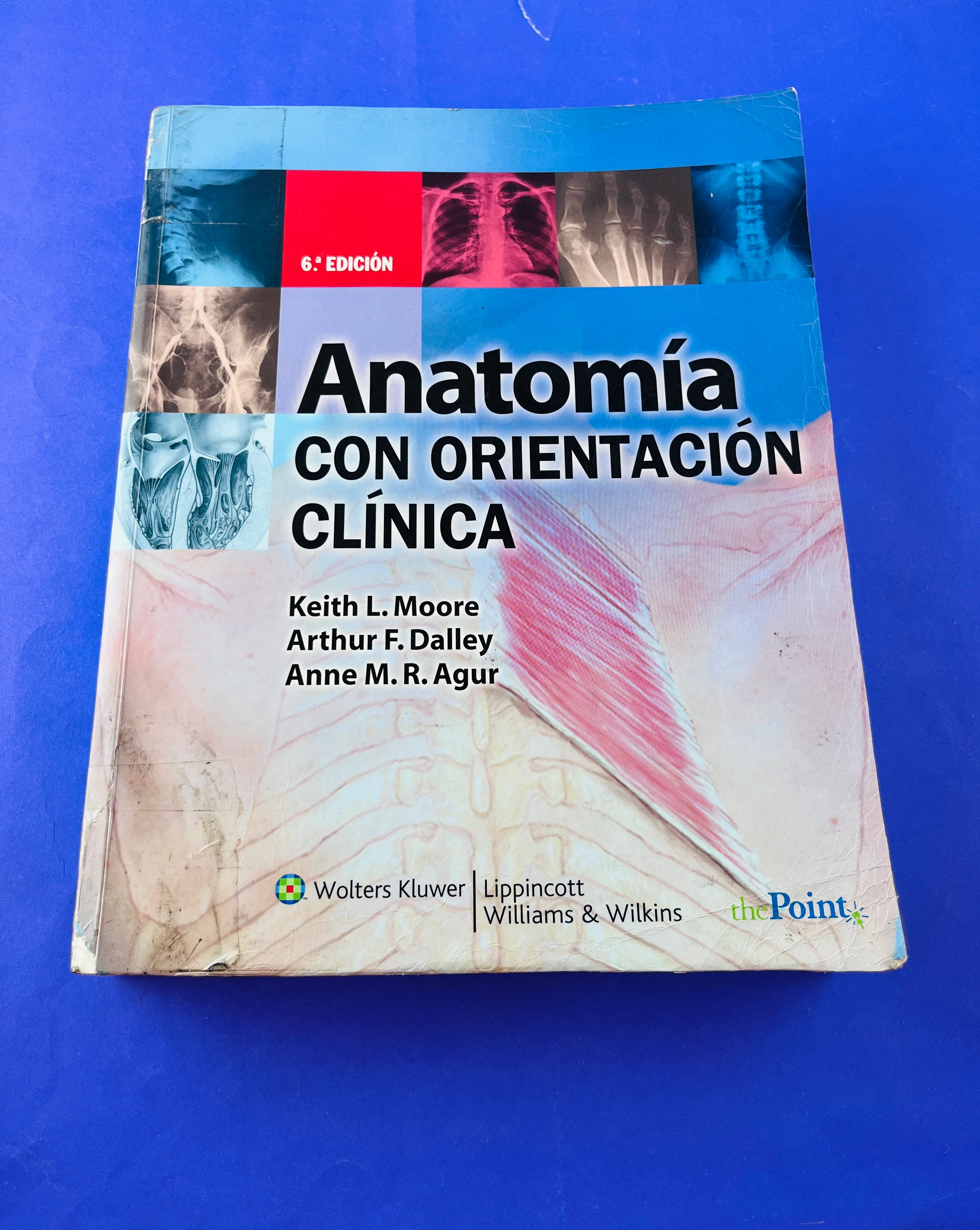 Anatomía con orientación clínica sexta edición - Image 2