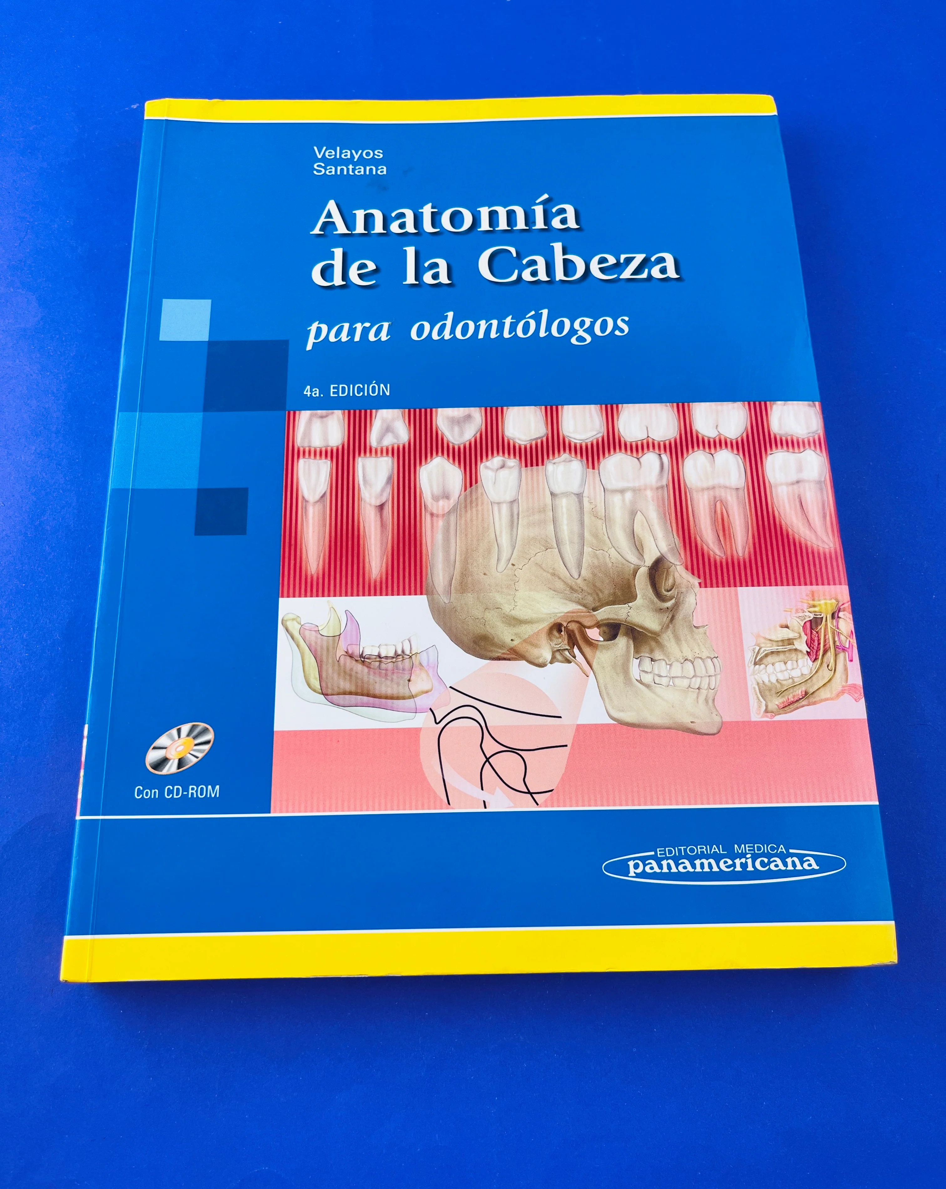 Anatomía de la cabeza para odontólogos cuarta edición - Image 3