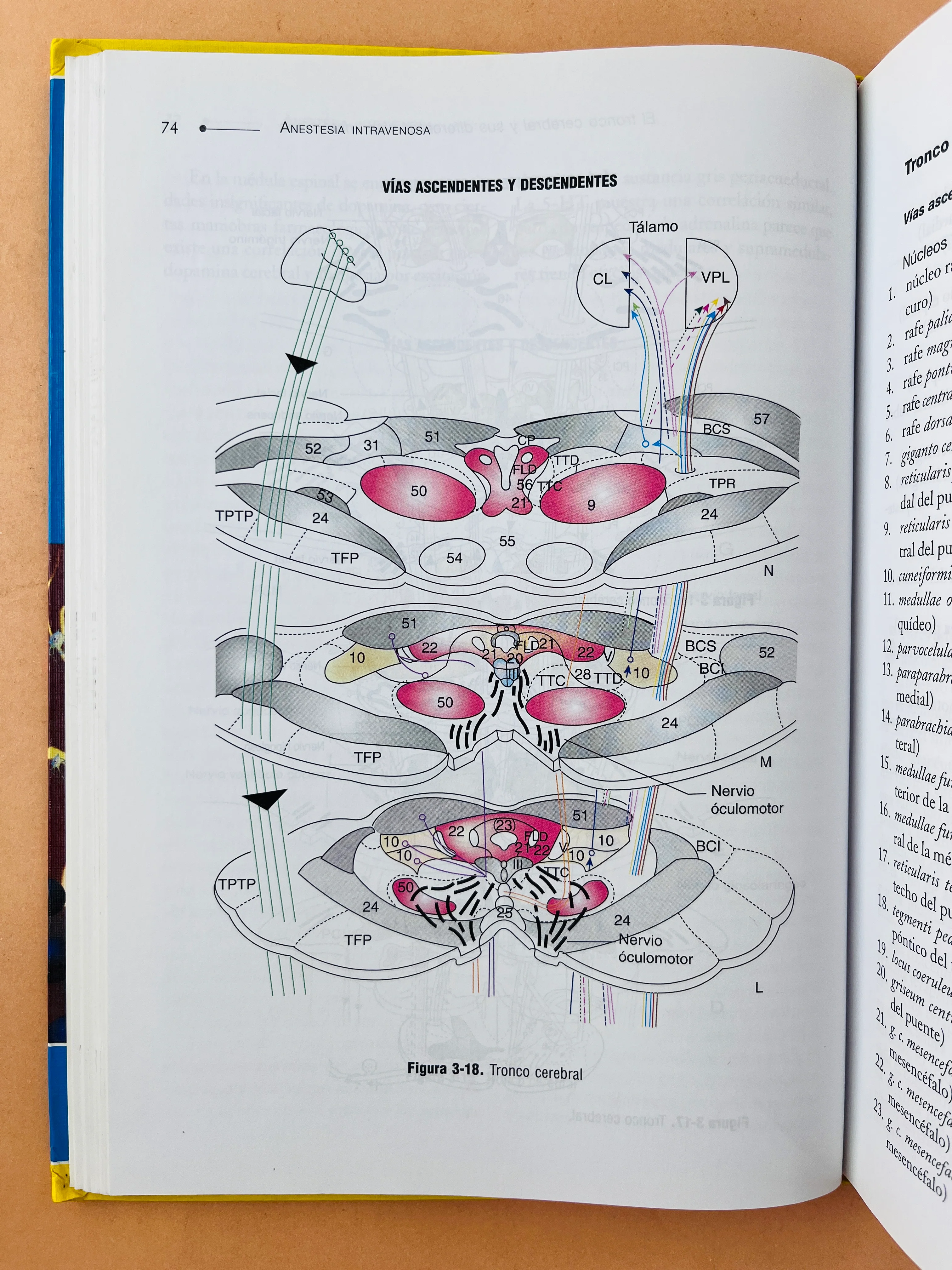 Anestesia intravenosa - Image 5
