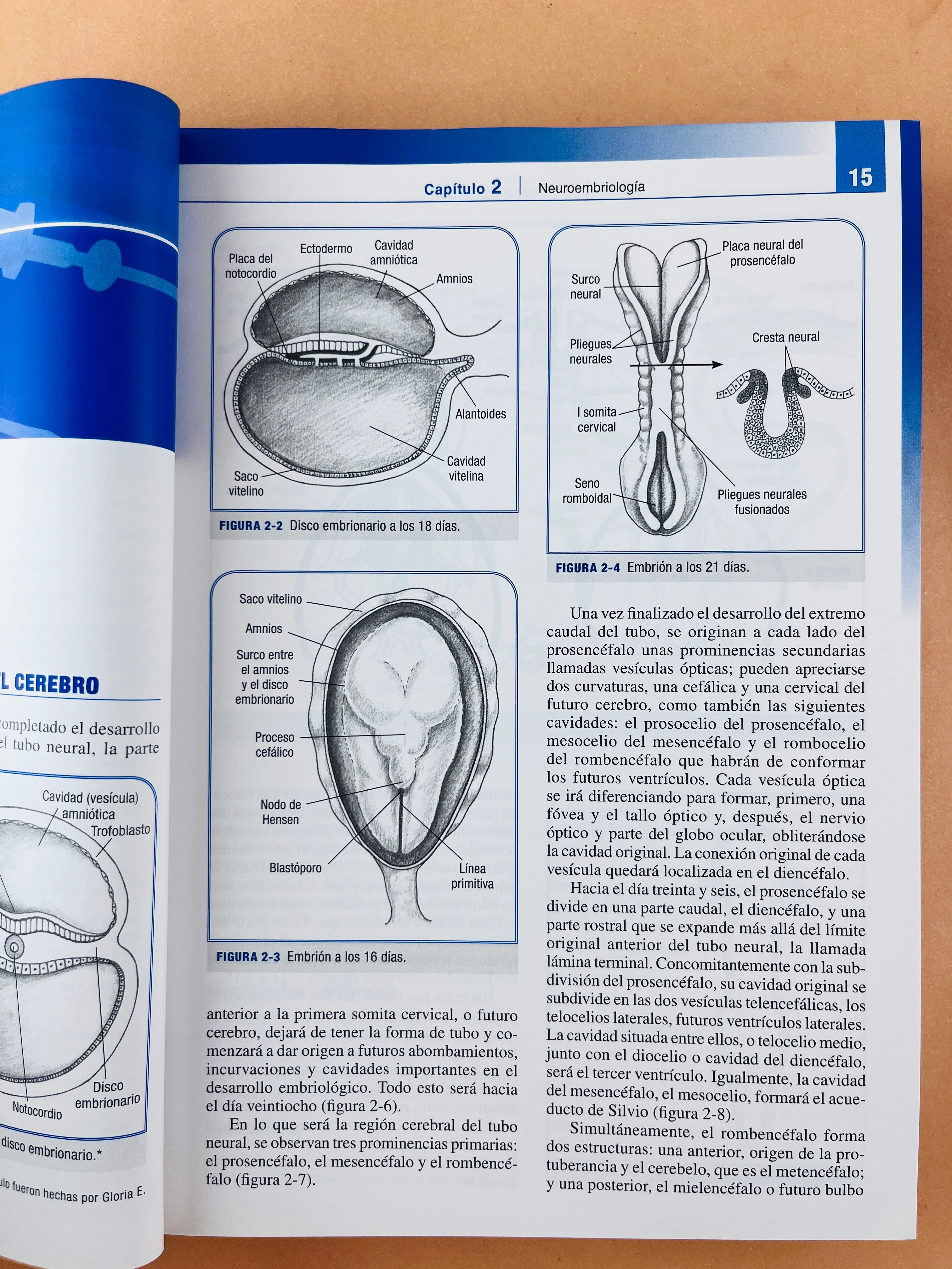 Anestesia intravenosa tercera edición - Image 3