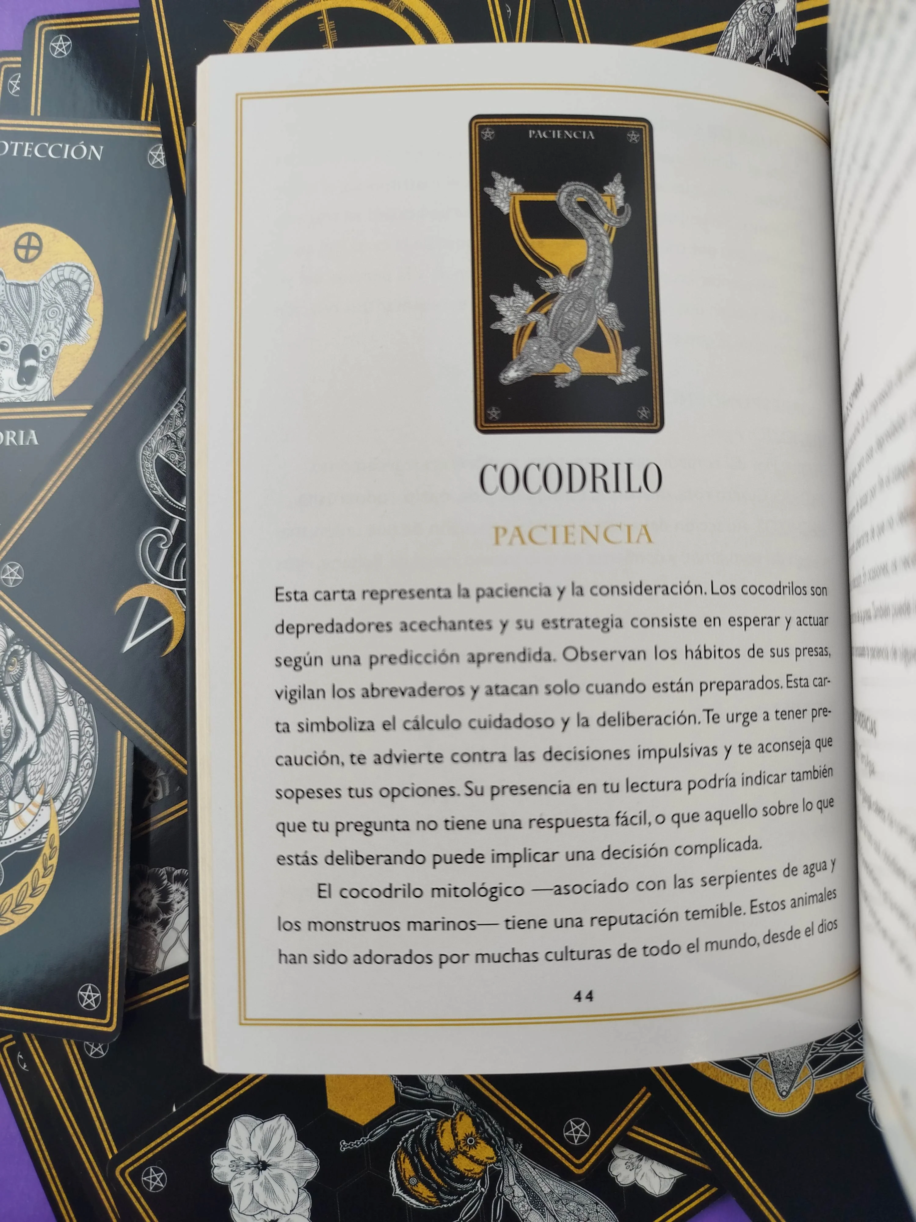 Animales místicos Oráculo 50 cartas y libro guía - Image 4