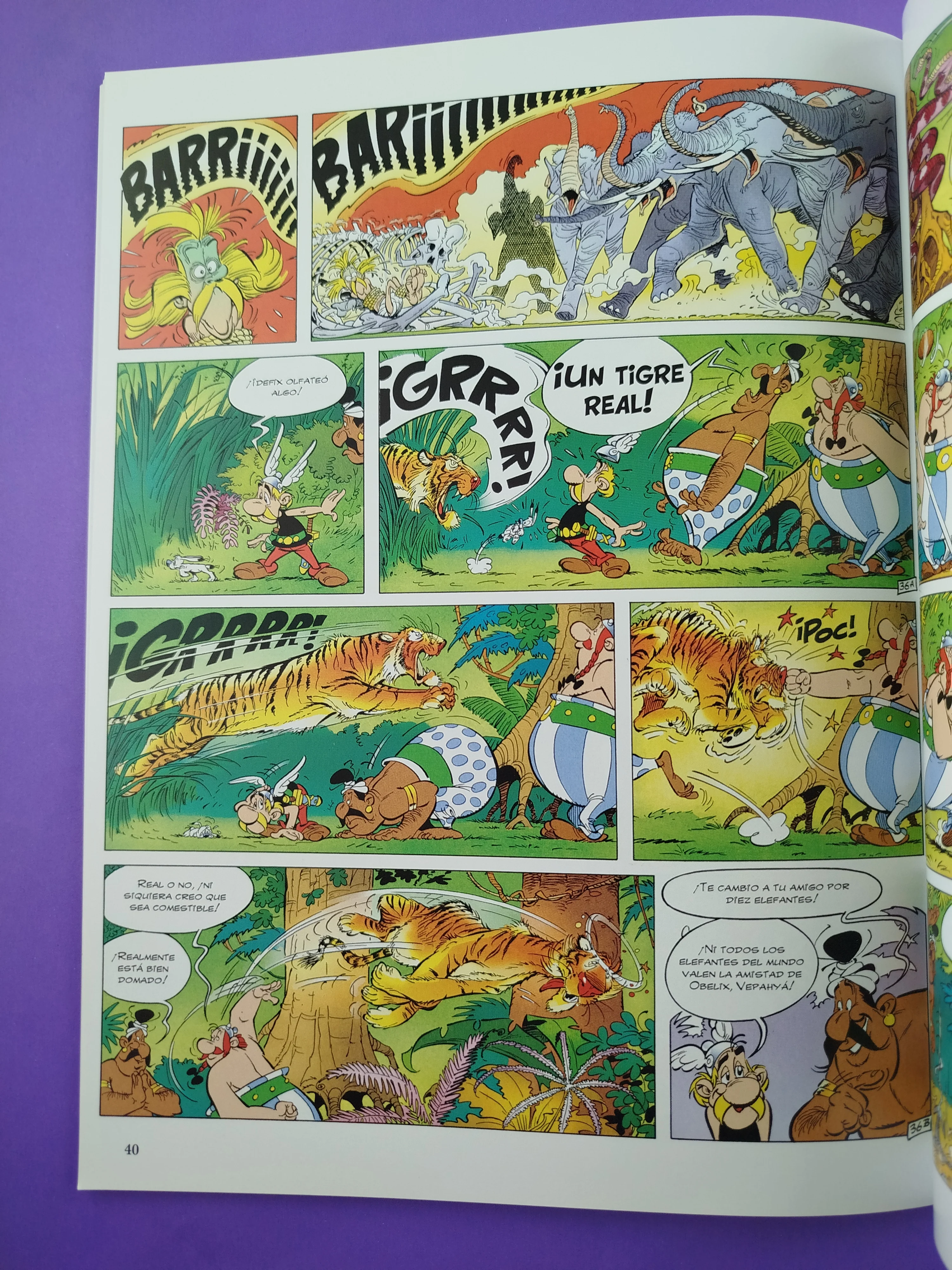 Astérix en la India - Image 2