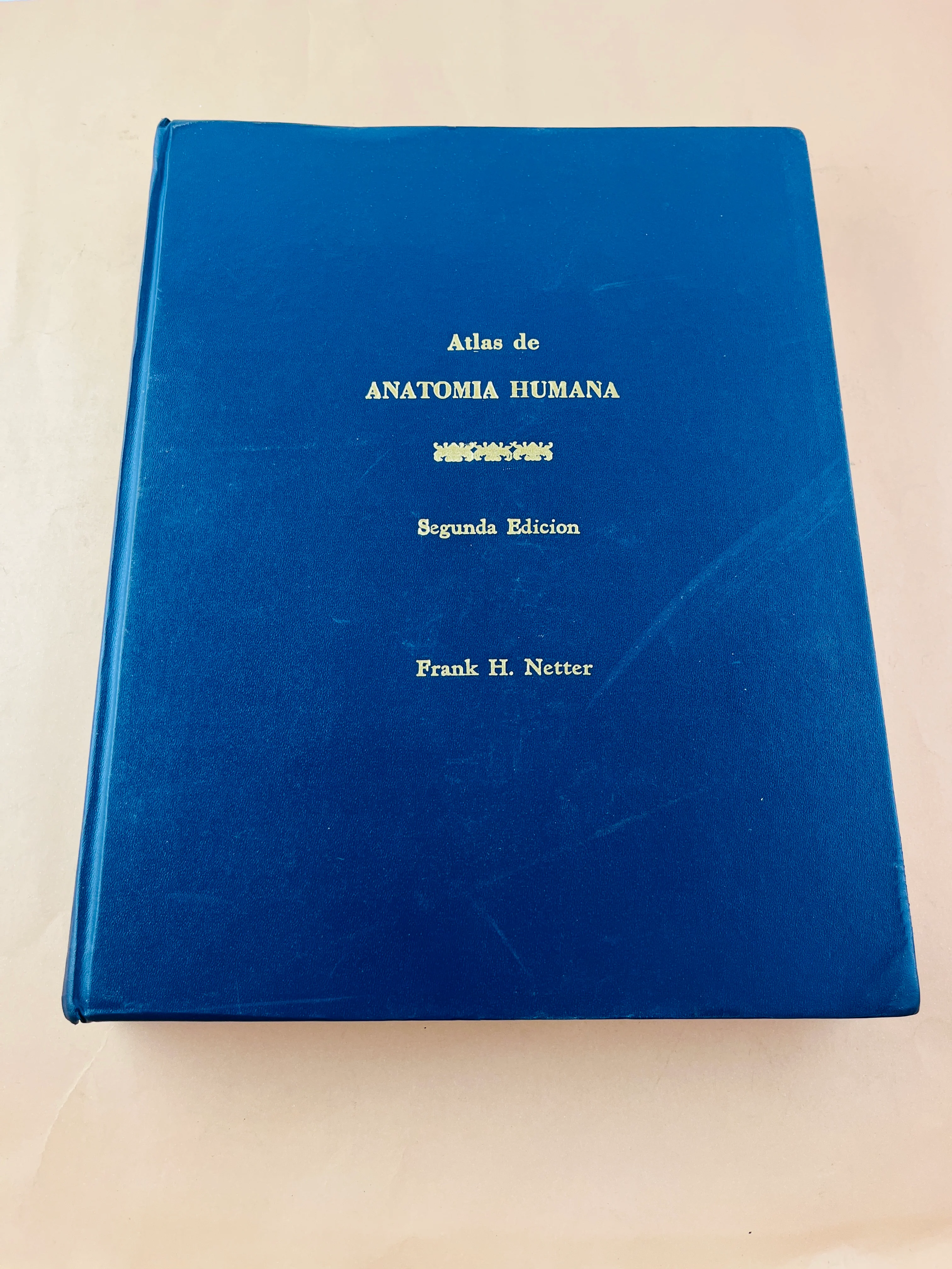 Atlas de anatomía humana segunda edición - Image 2