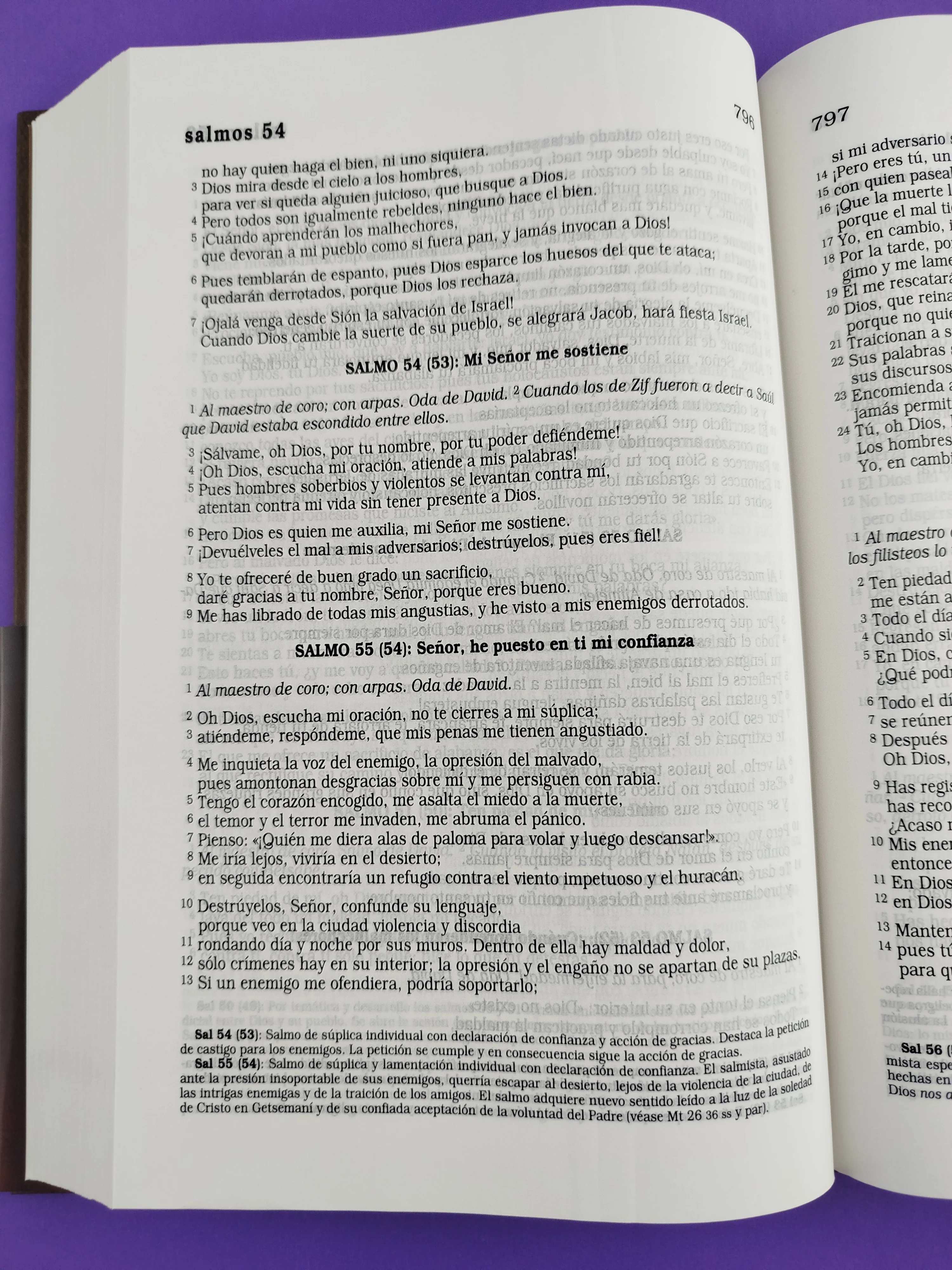Biblia católica letra grande pasta dura sin cierre - Image 3
