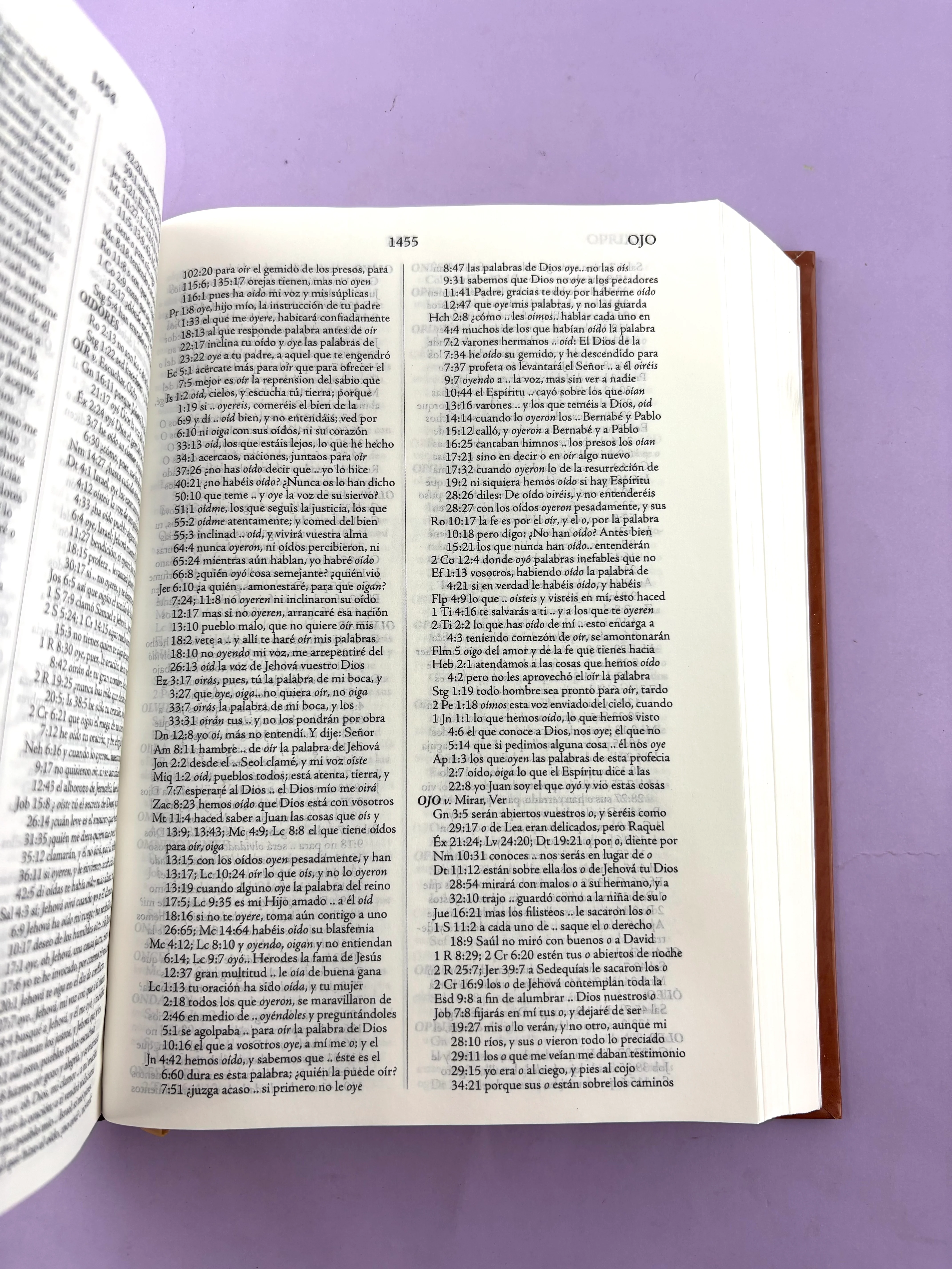 Biblia de estudio palabra clave con diccionario hebreo y griego - Image 3