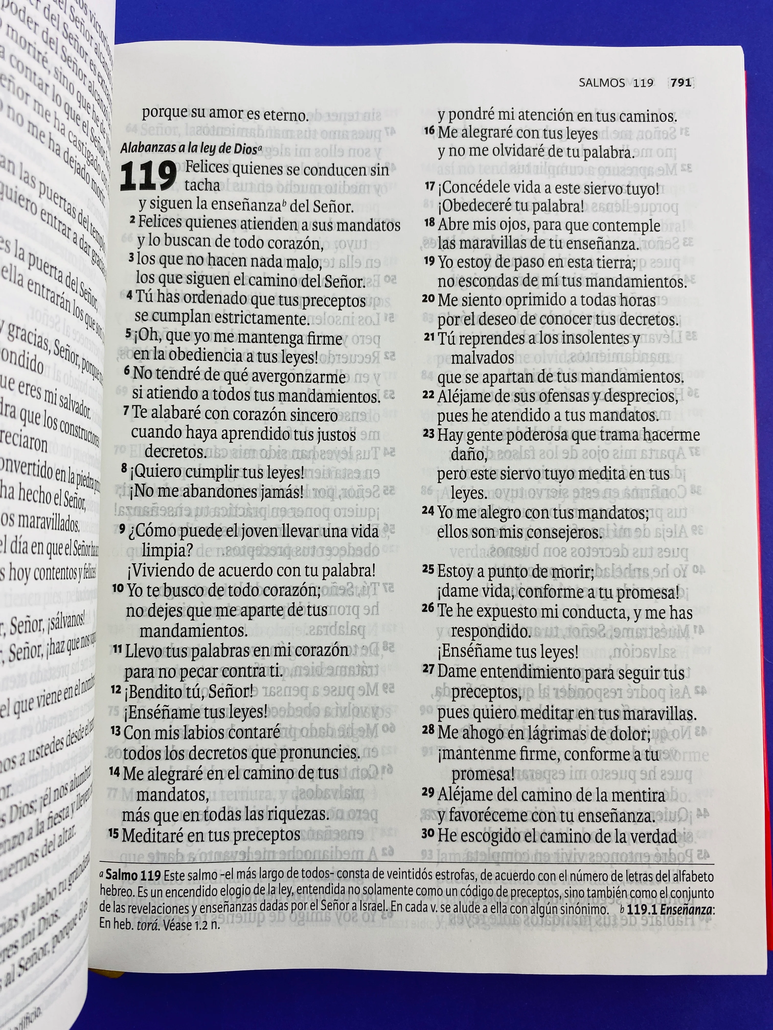 Biblia Dios Habla Hoy Letra Gigante Roja - Image 3