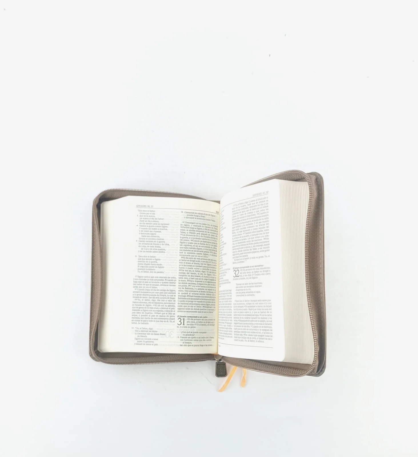 Biblia Dios habla hoy pequeña edición de referencia con cierre café - Image 2