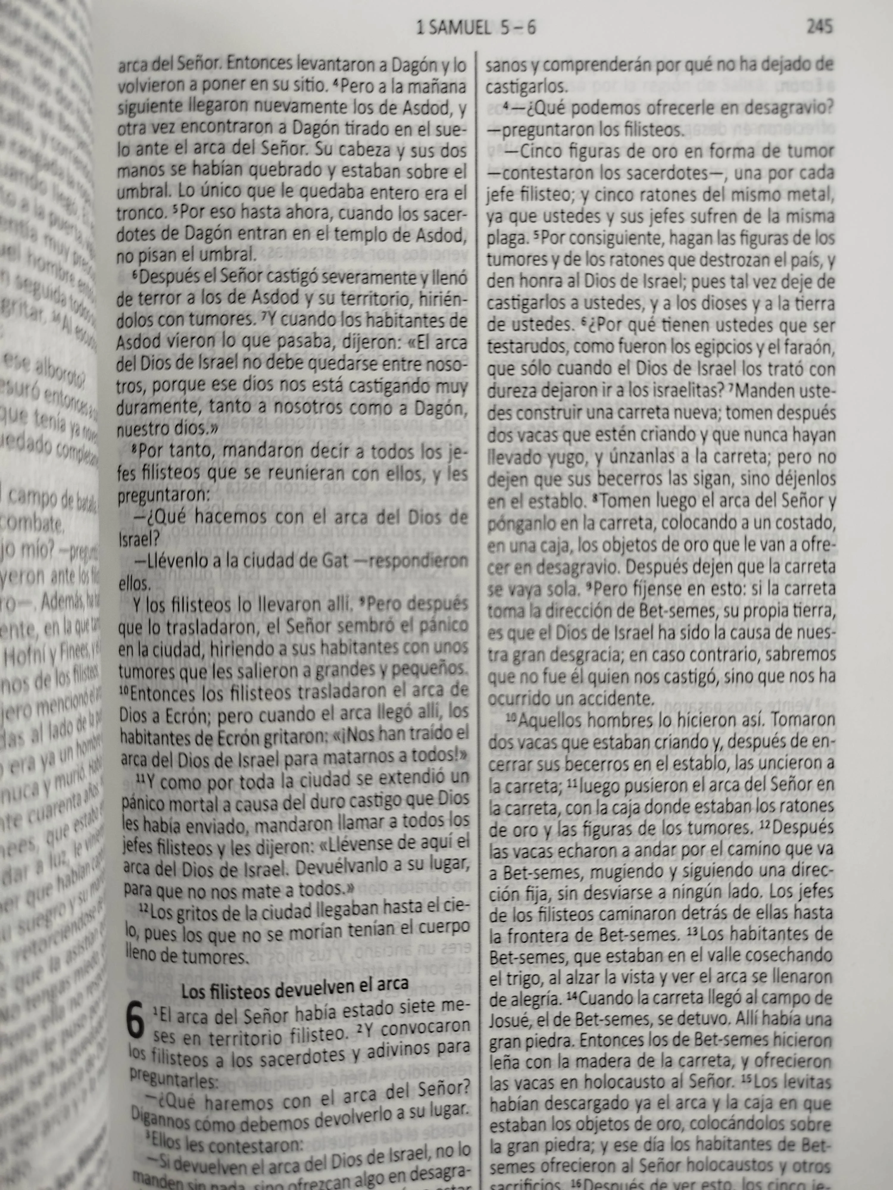 Biblia dios habla hoy roja pasta dura - Image 3