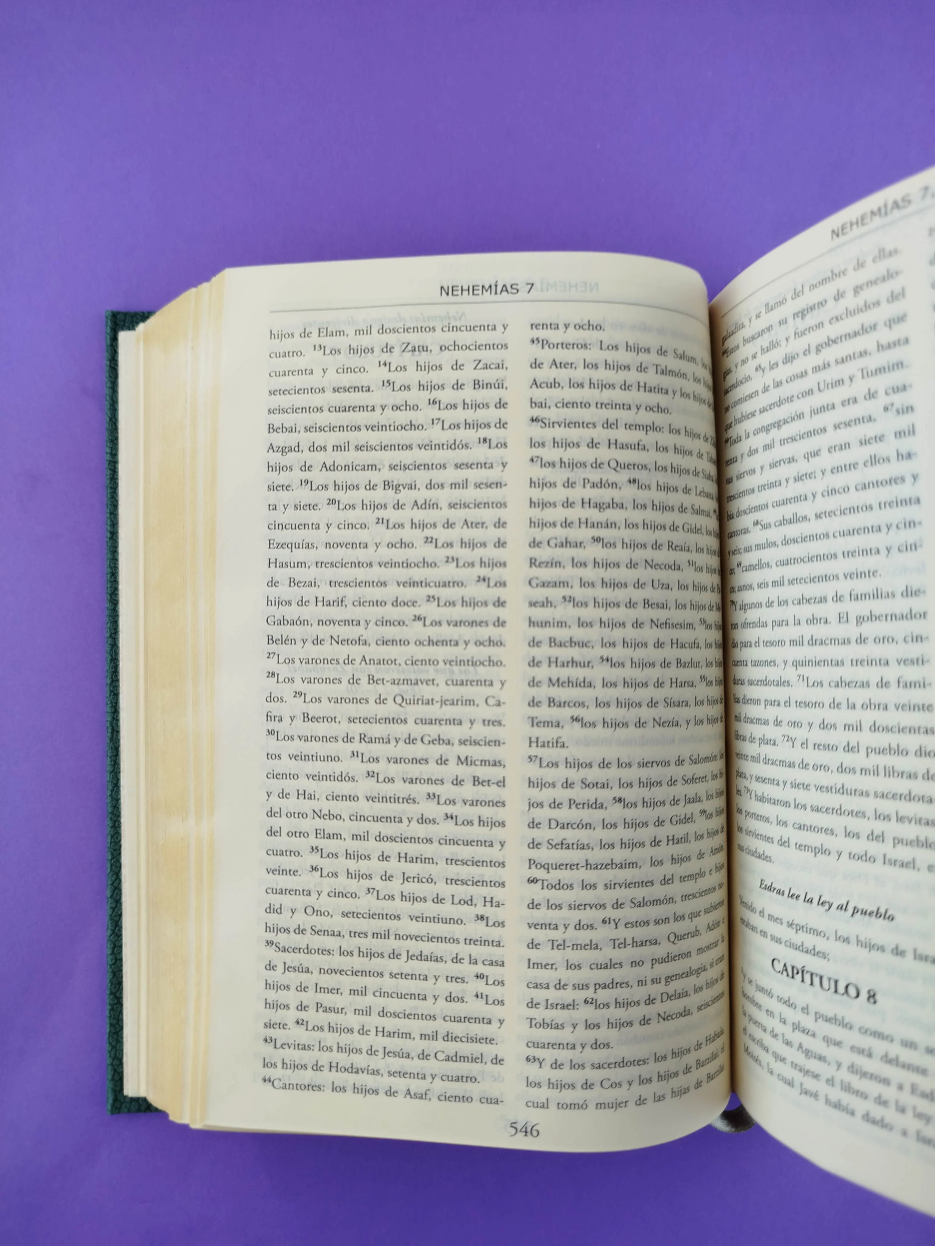 Biblia Dios me habla verde tapa dura borde dorado incluye libros deuterocanónicos - Image 3
