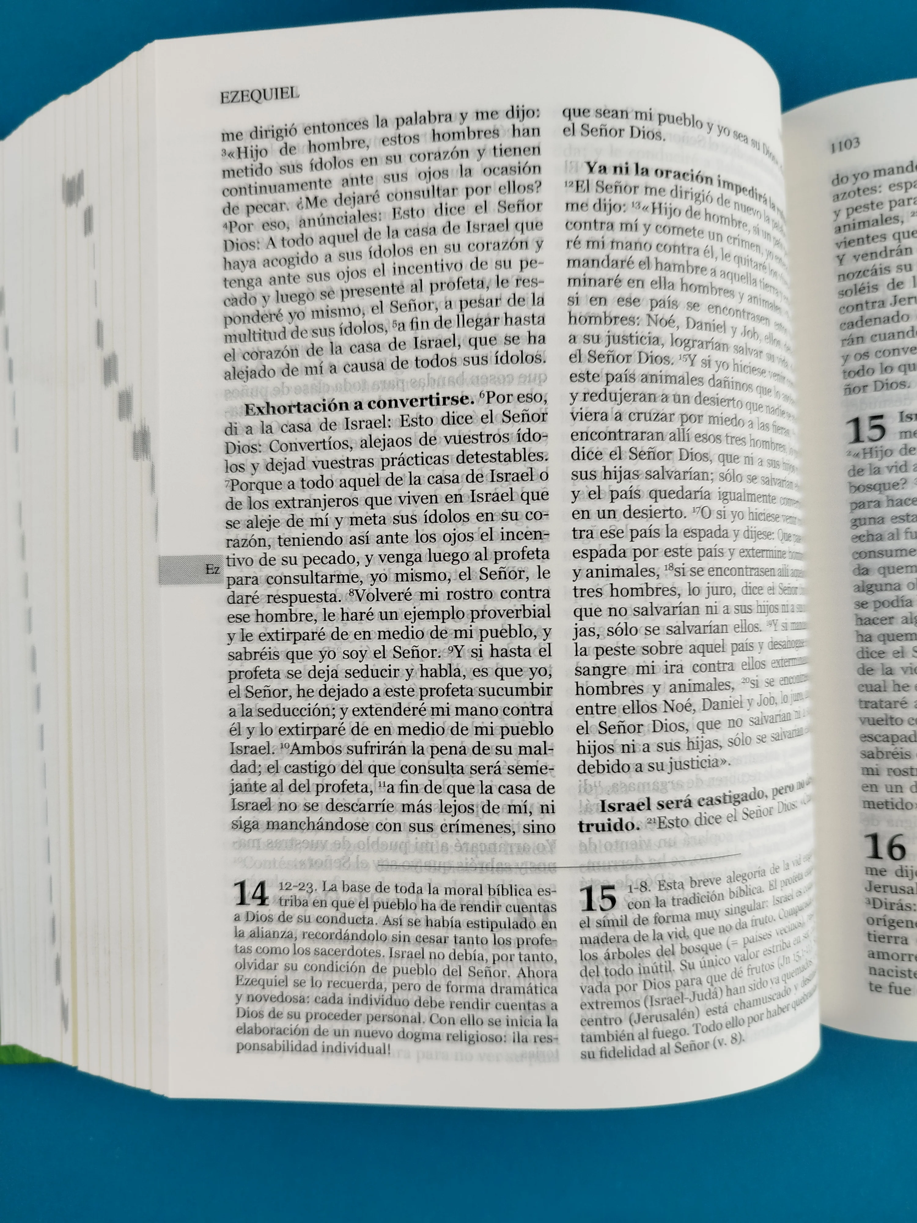 Biblia hormiguitas pasta dura una historia de amor - Image 3
