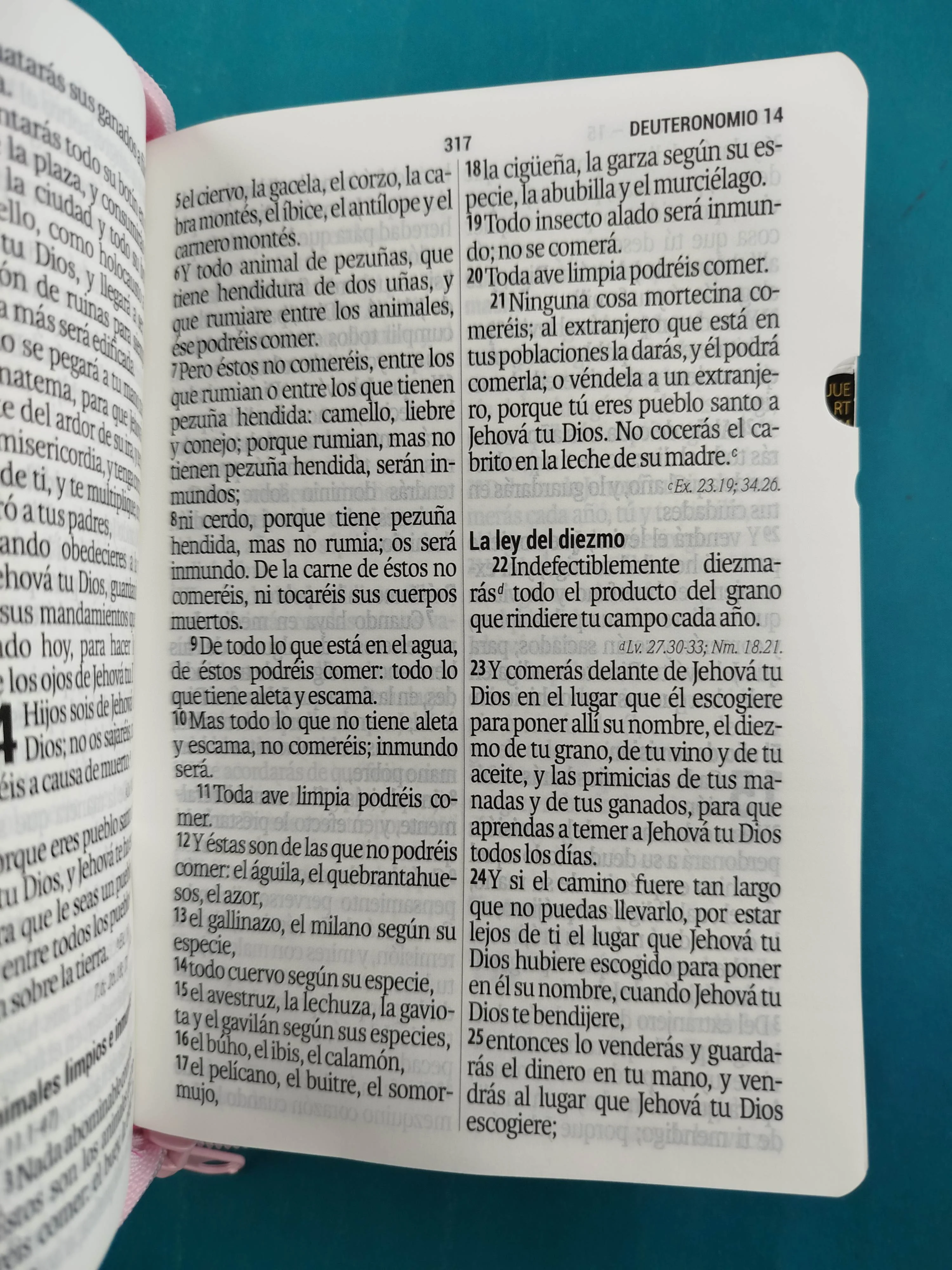 Biblia Mediana Fucsia Rosado con Índice y Letra Grande - Image 5