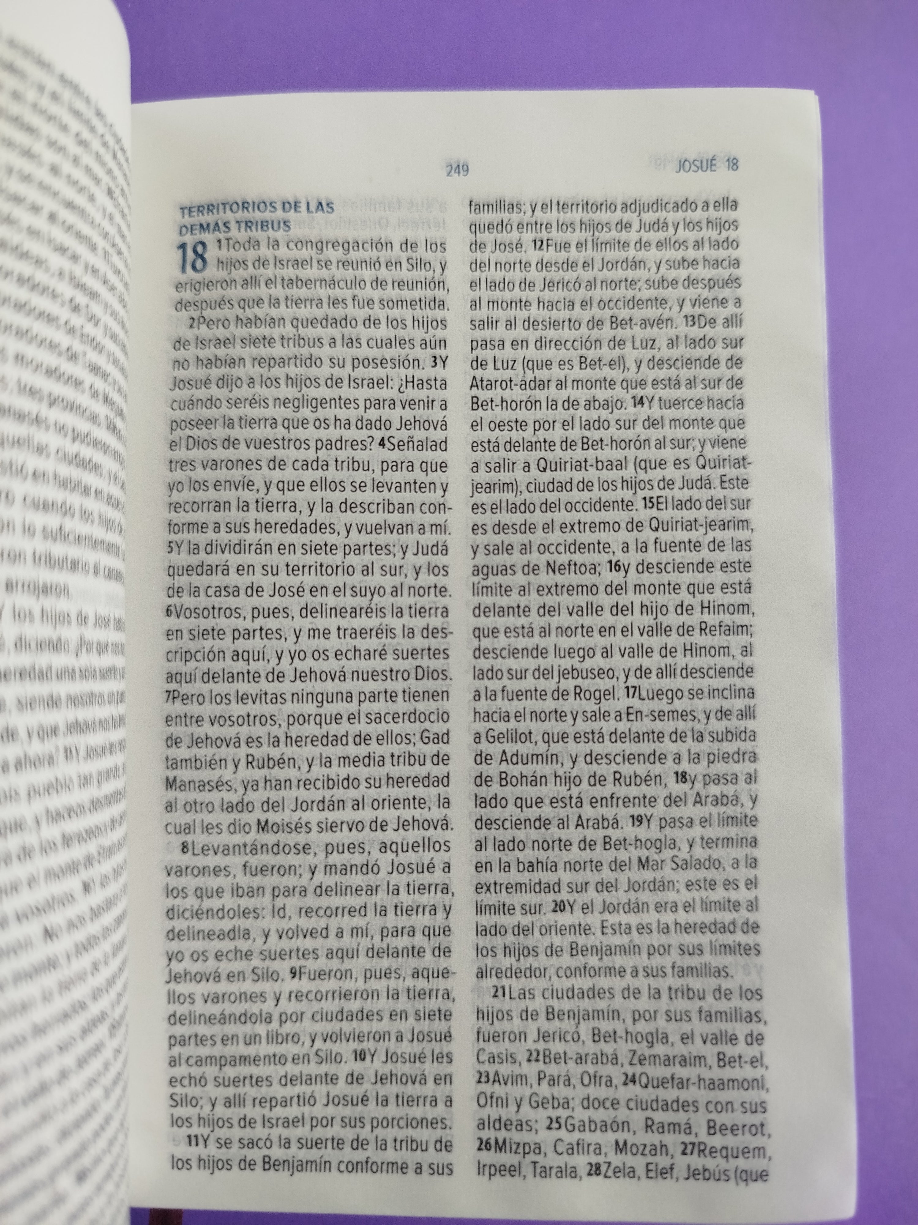 Biblia mini vinilo especial canto morado - Image 3