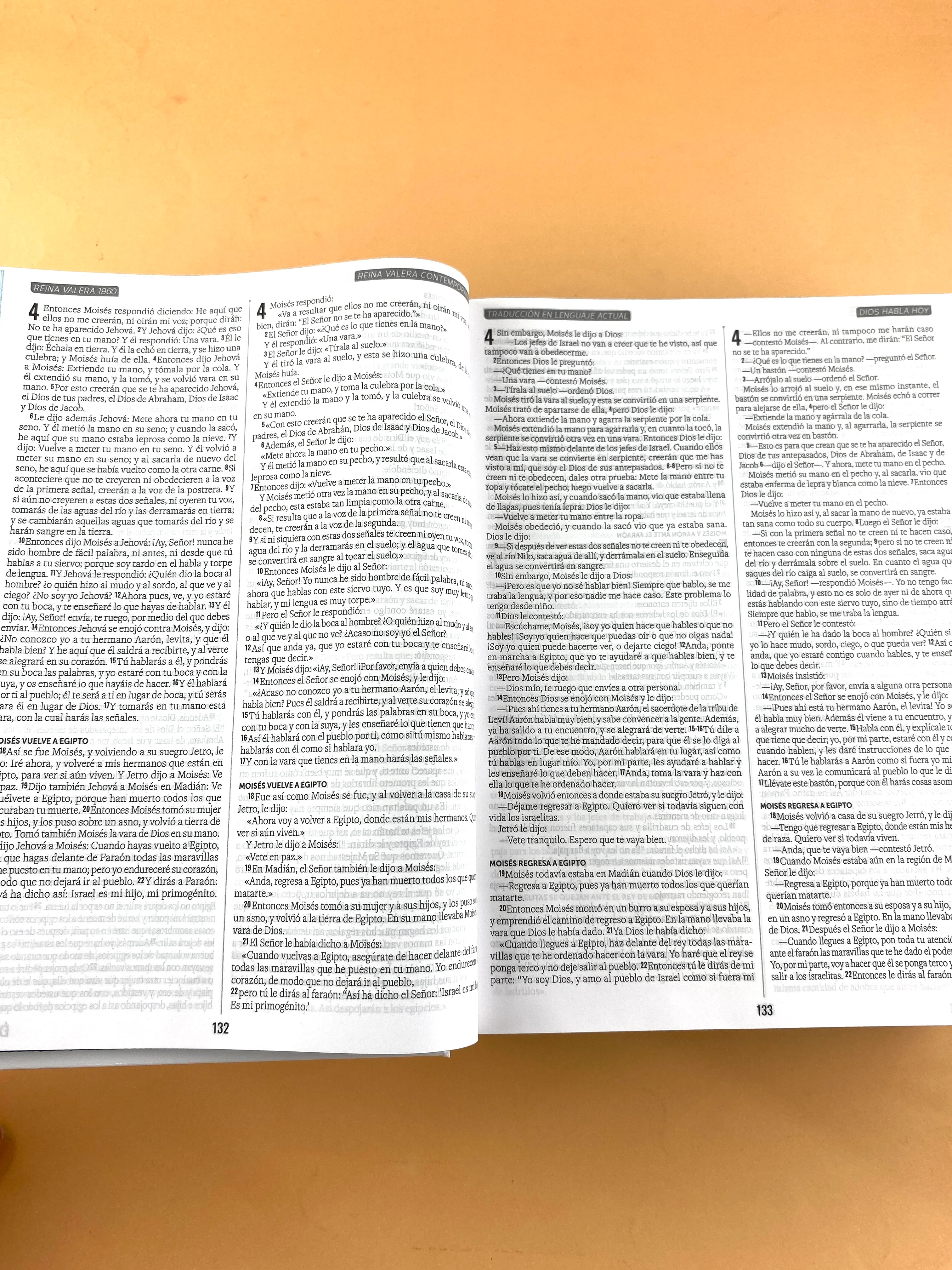 Biblia multiversiones RVR 1960 - RVC -DHH- TLA - Image 2