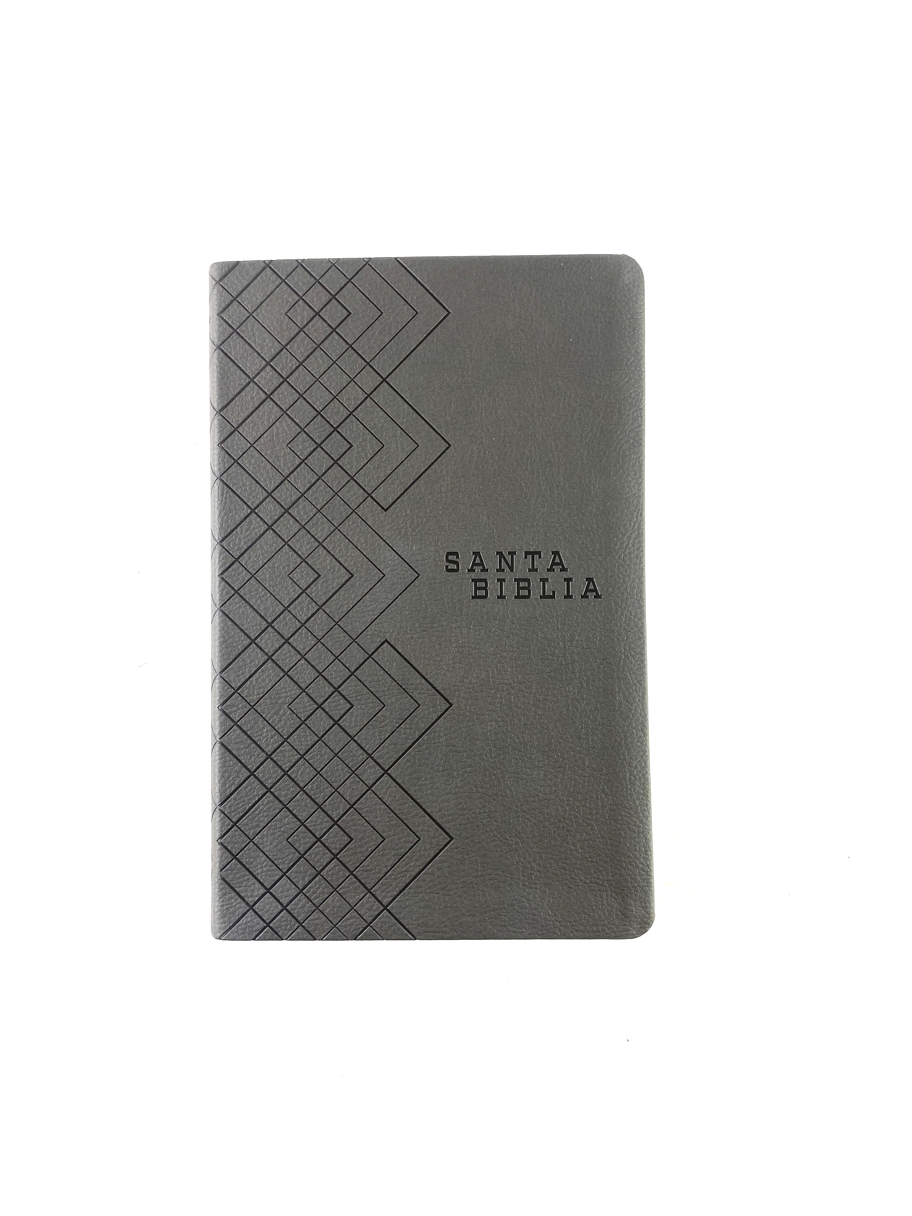 Biblia NTV agape gris