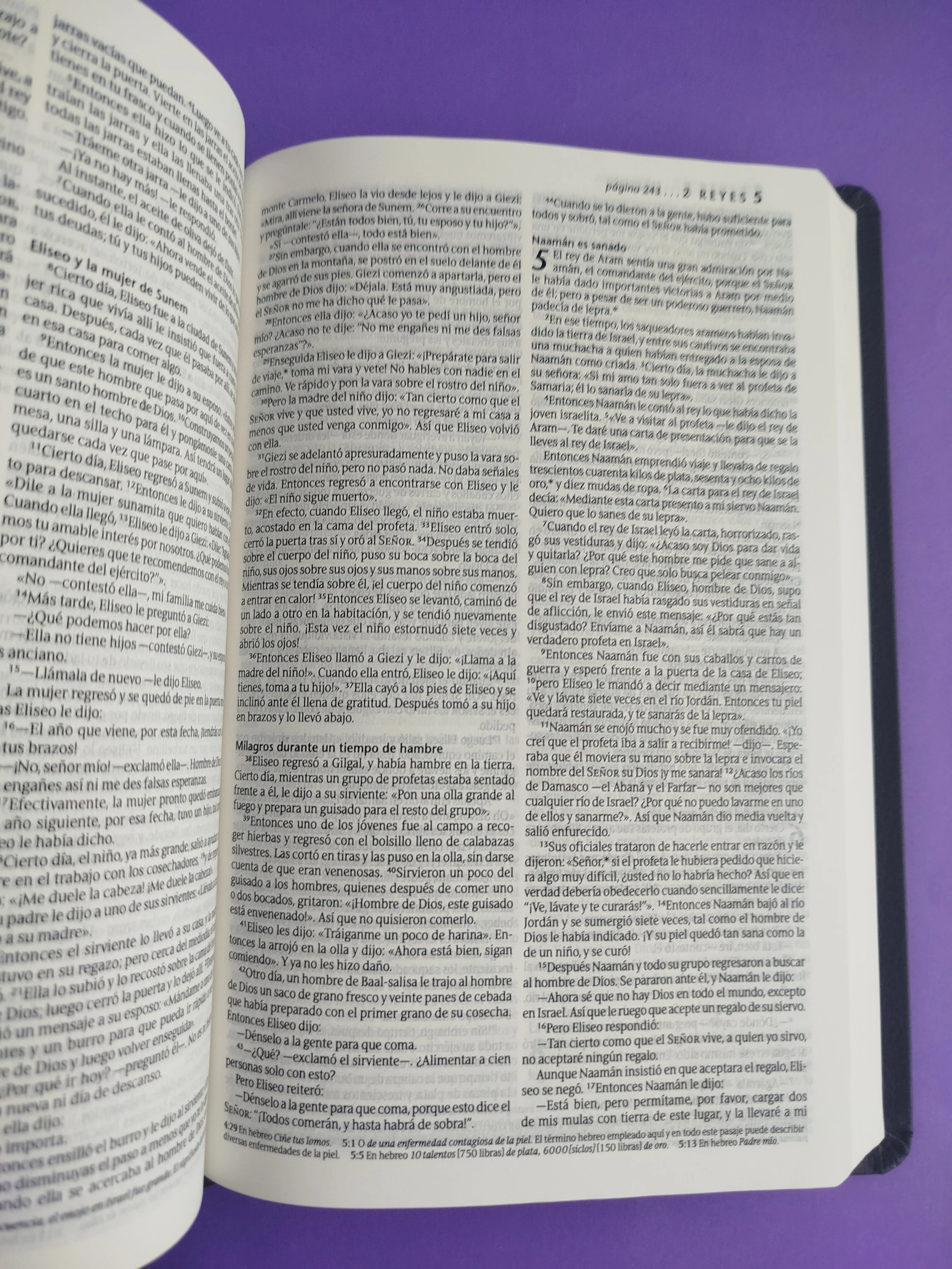 Biblia NTV agape gris - Image 2
