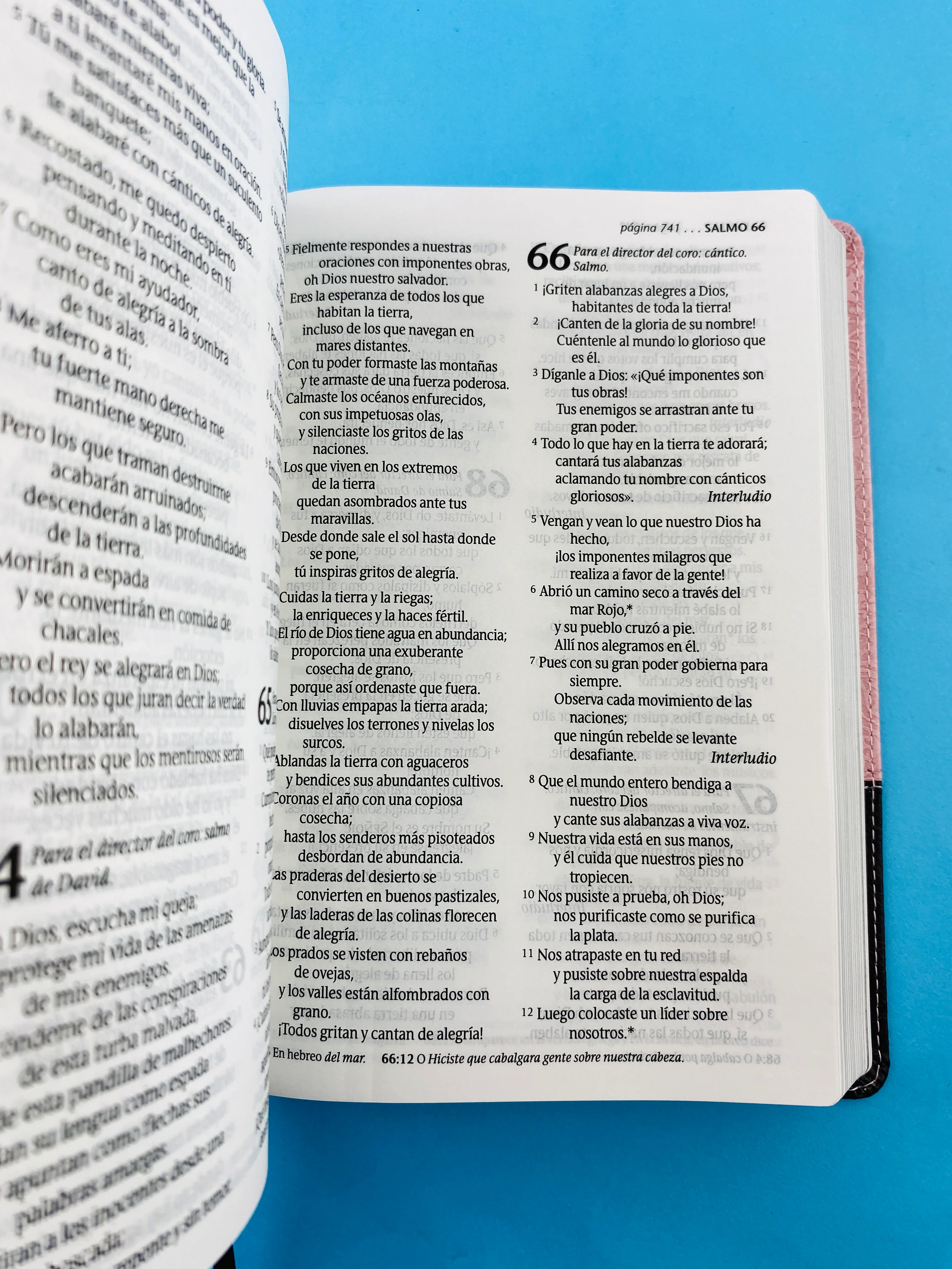 Biblia ntv letra grande edición personal rosa - café - Image 2