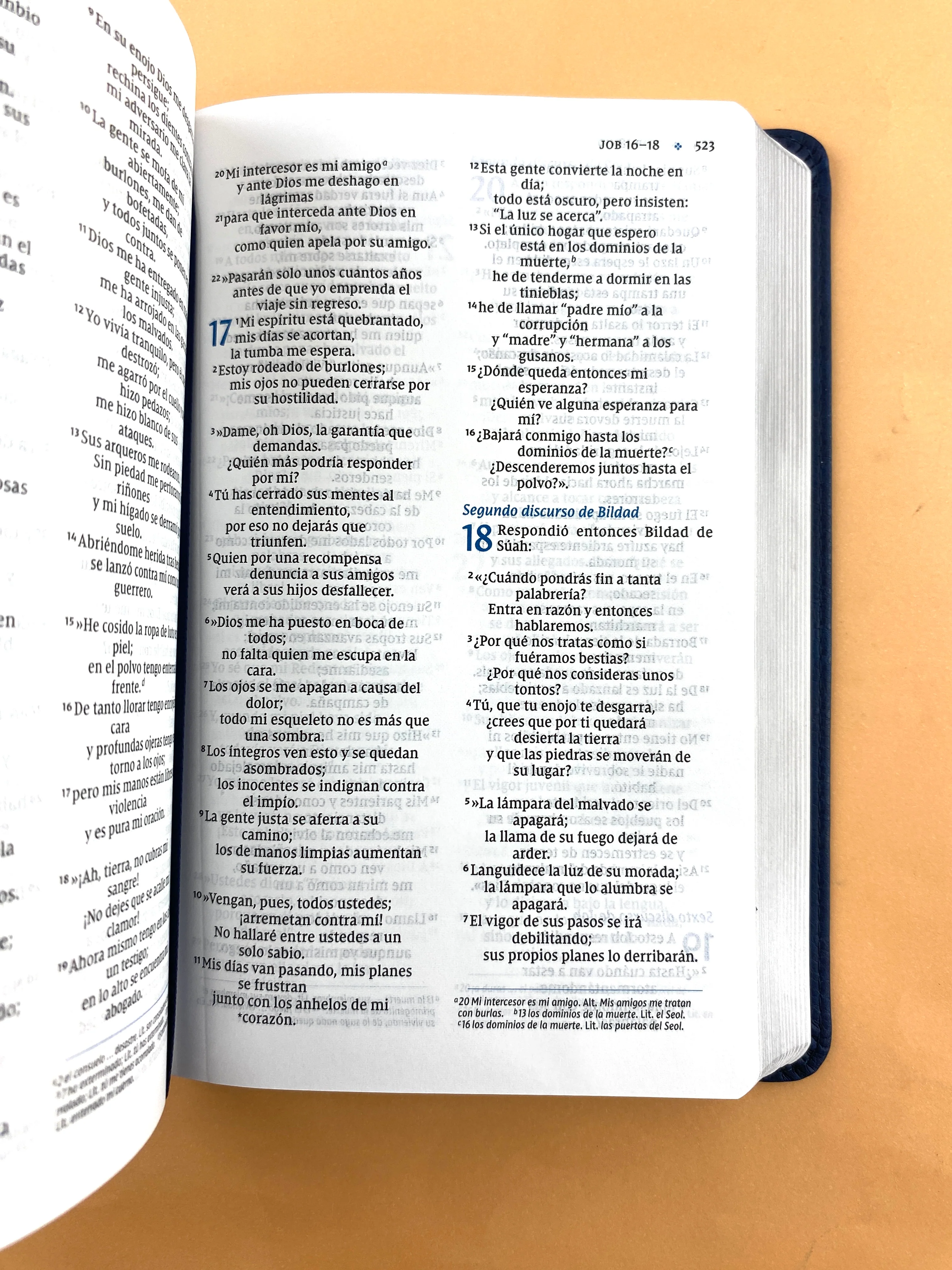 Biblia NVI 2022 ultra fina tamaño compacto azul marino - Image 3
