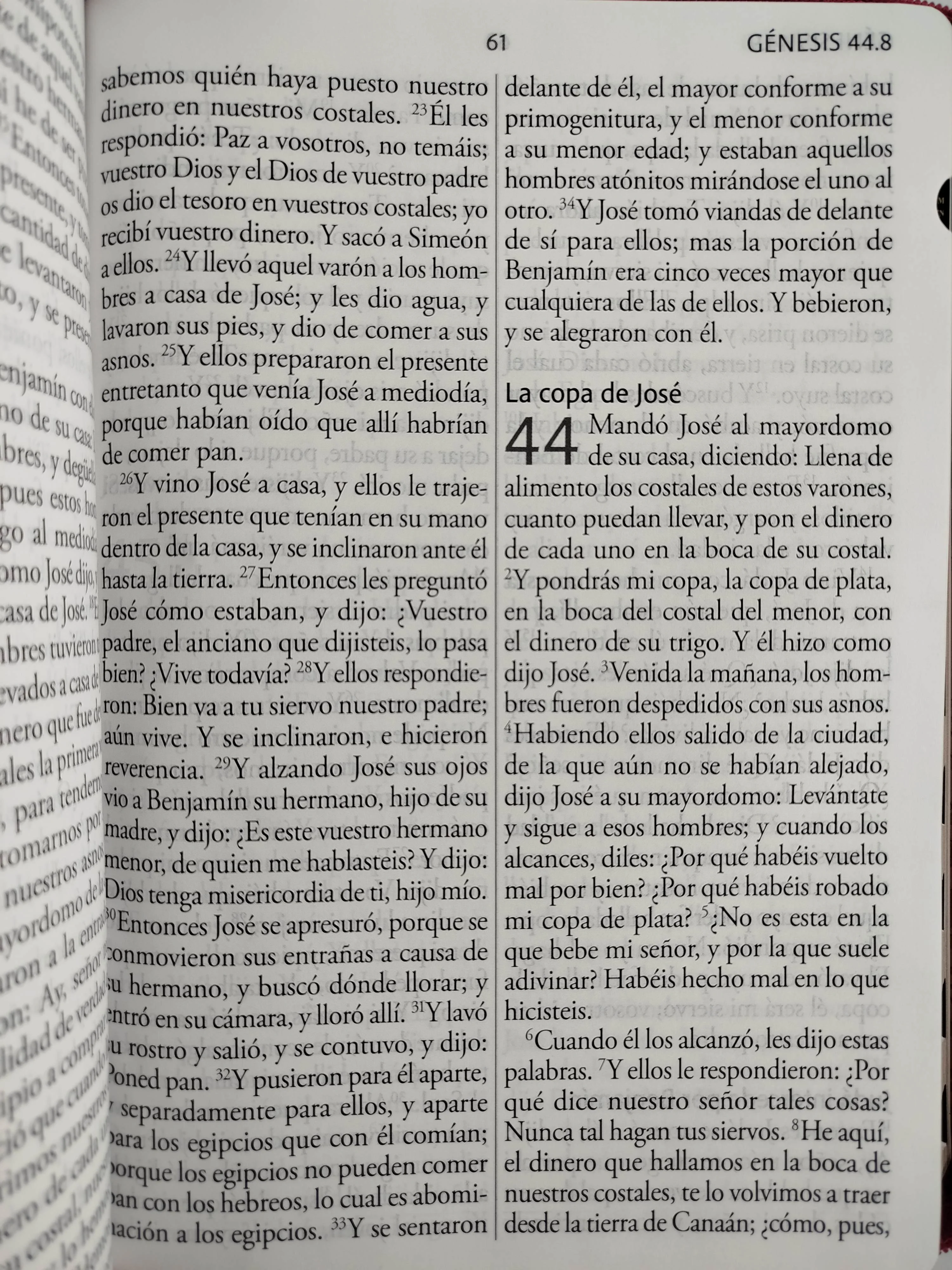 Biblia Reina Valera Revisada 1960 letra súper gigante, símil piel fucsia rosada, cremallera e índice - Image 3