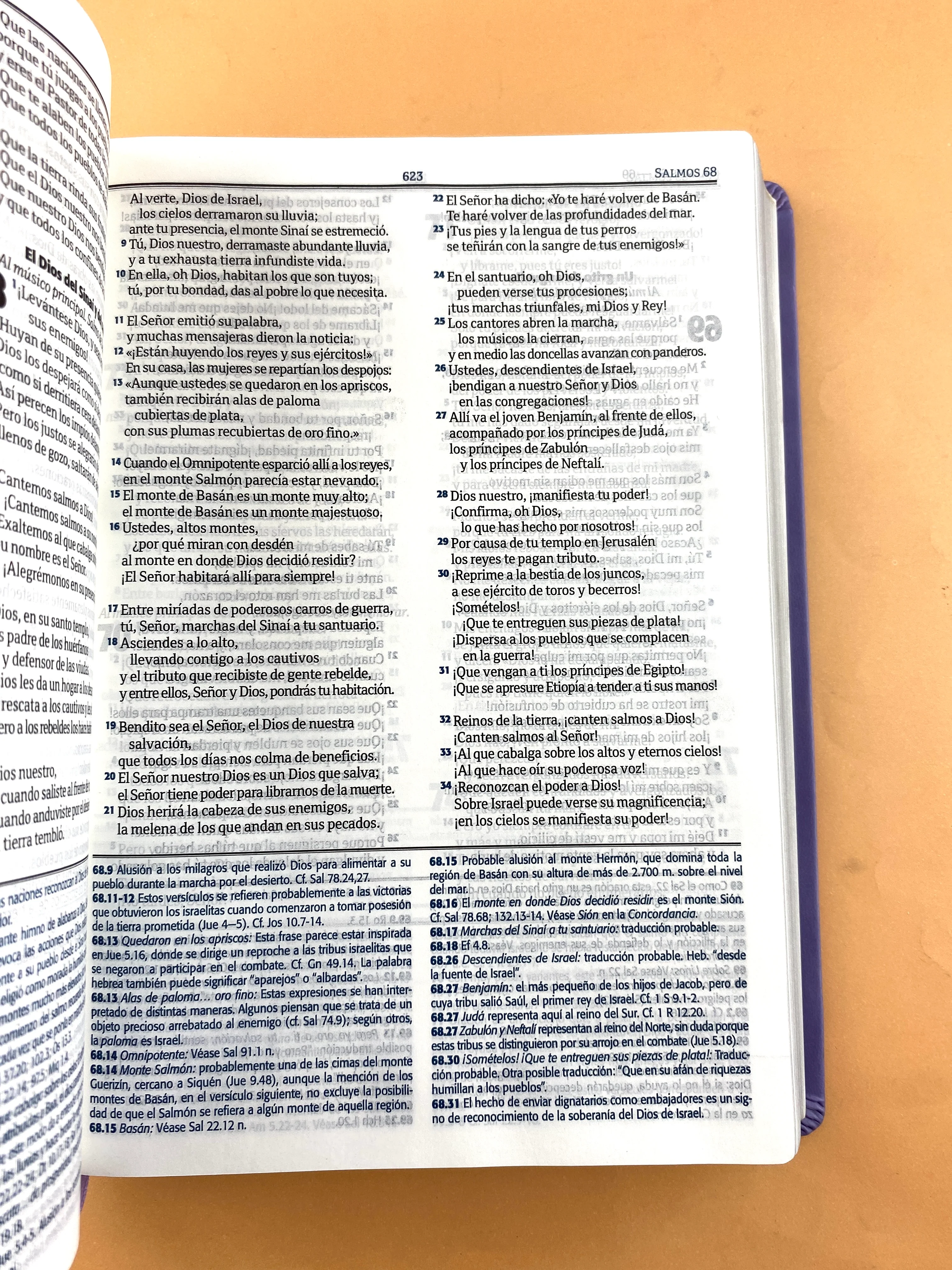 Biblia RVC lila edición de estudio letra grande - Image 3