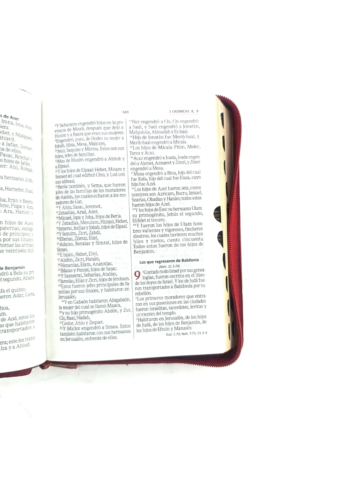 Biblia RVR 045 con Índice percalina rojo canto dorado - Image 3