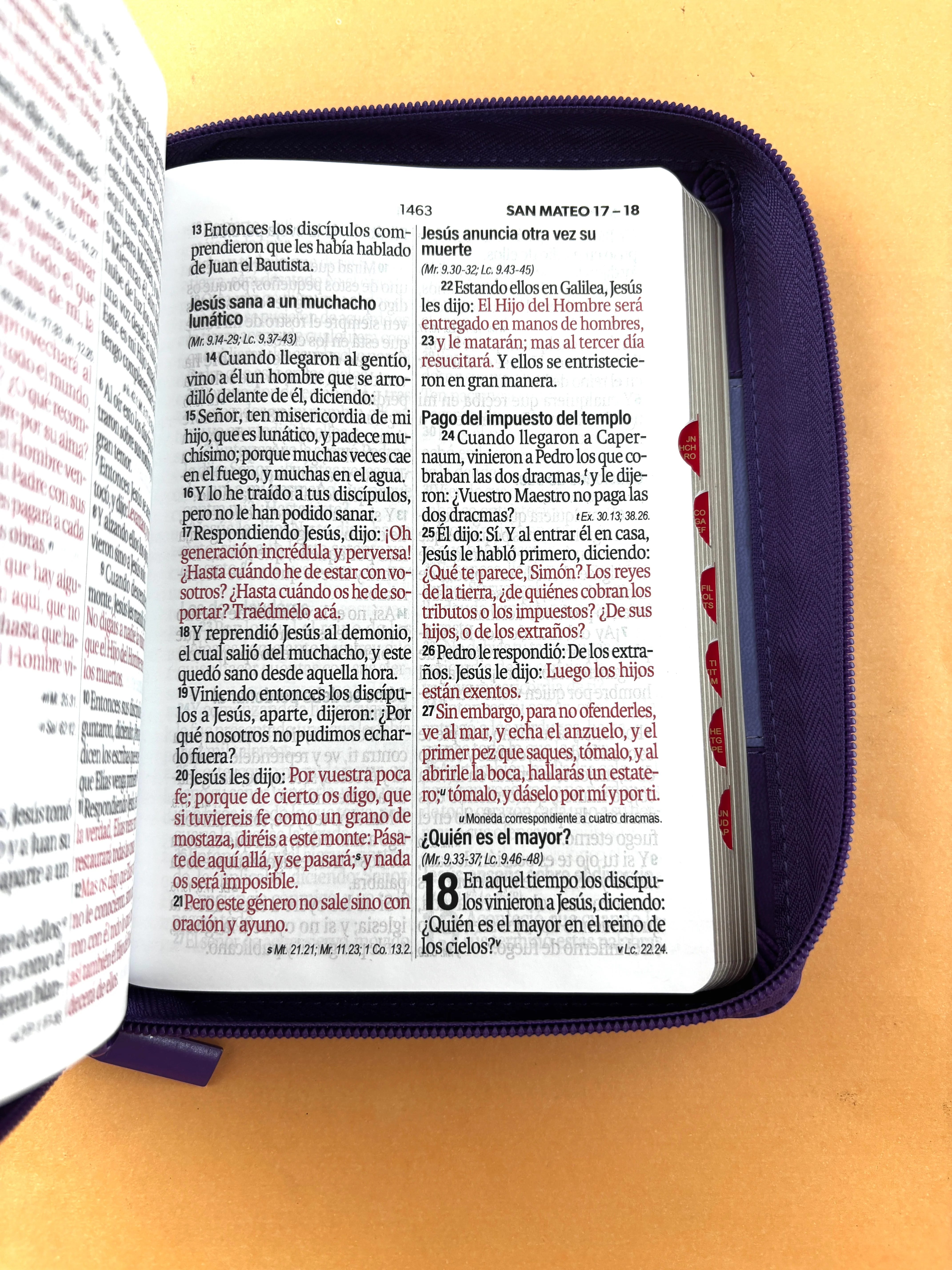 Biblia rvr 1960 bitono morado- lila letra grande con cierre e índice - Image 4