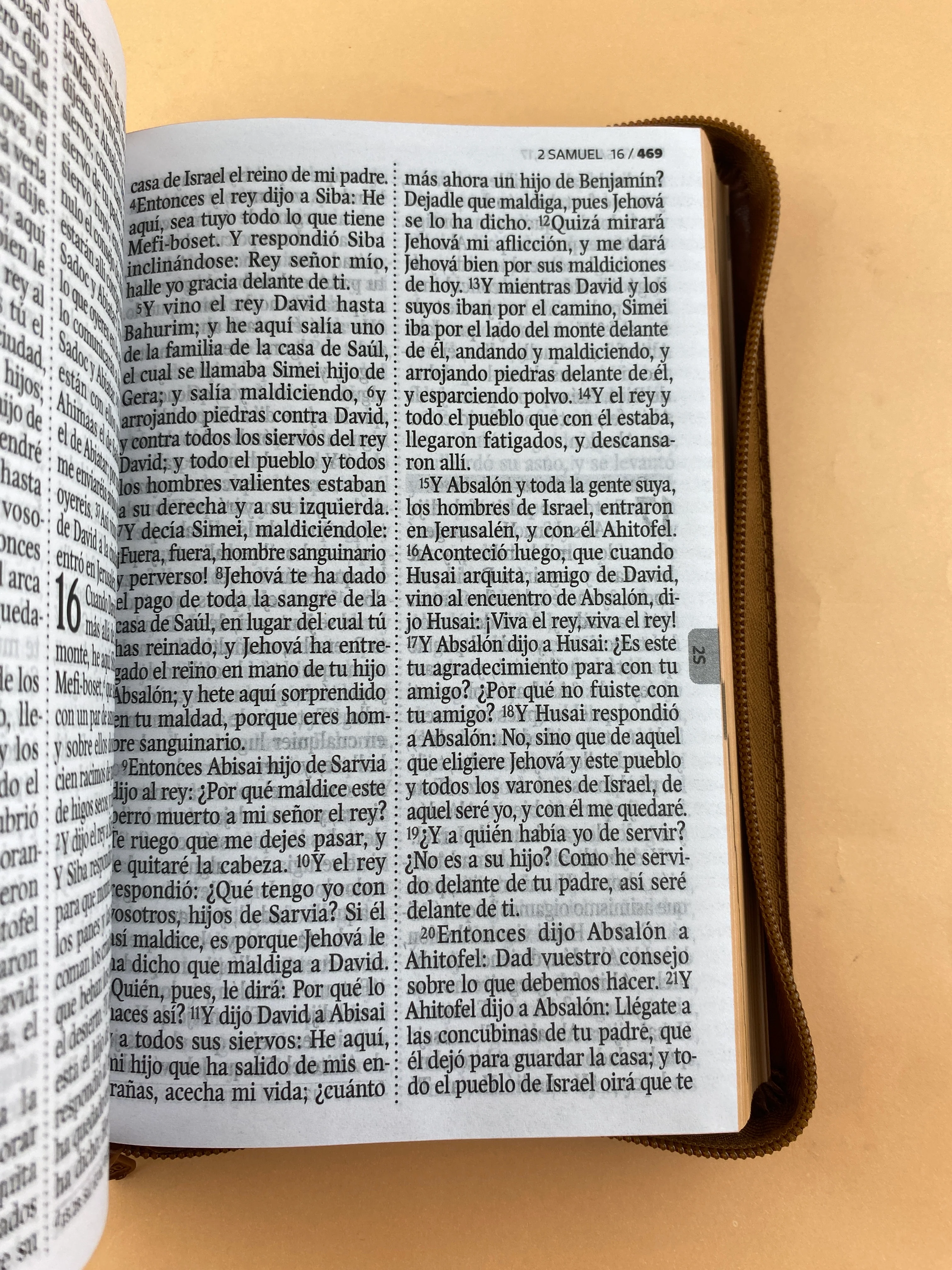 Biblia rvr 1960 letra gigante con forro café - Image 2