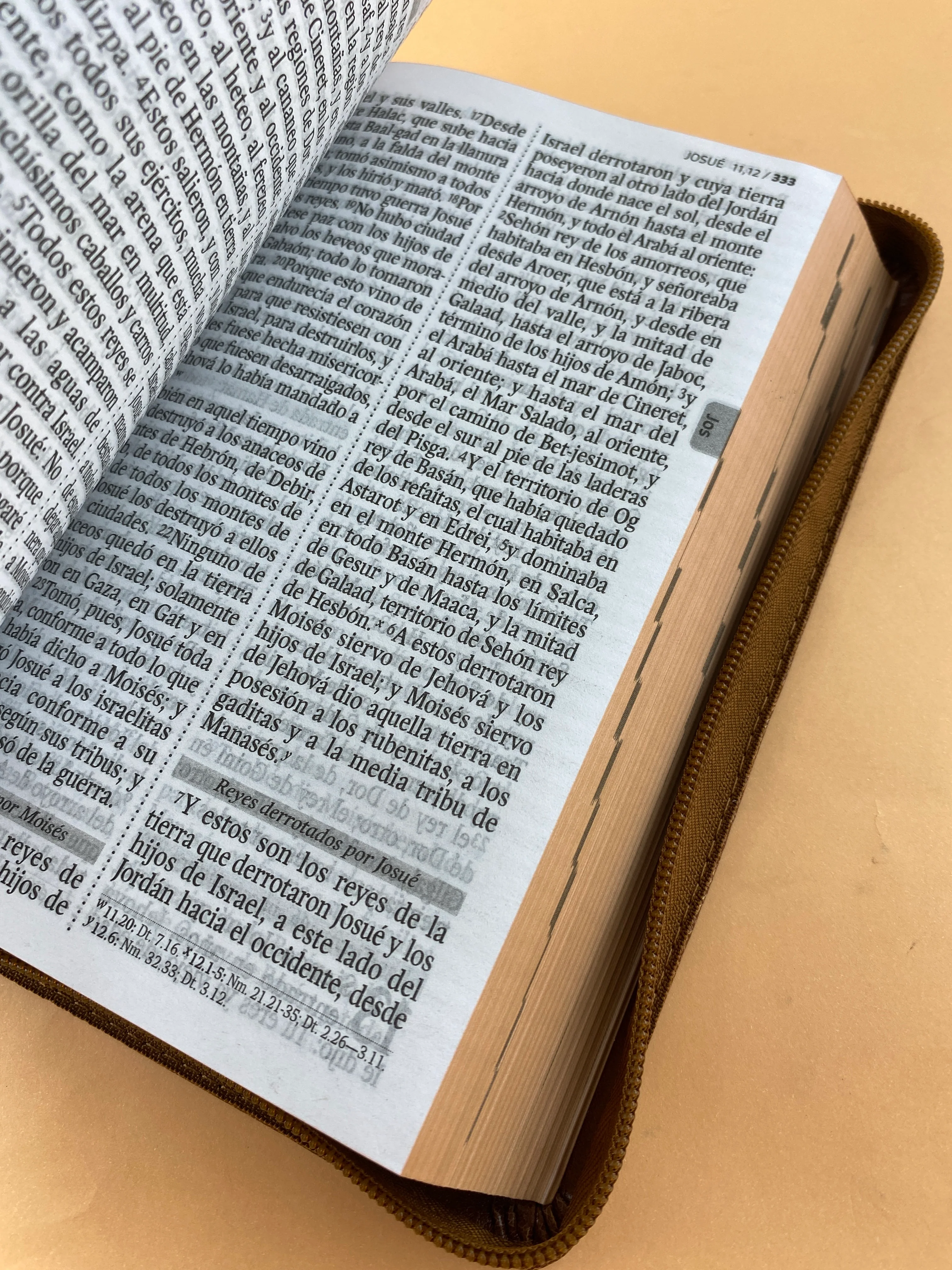 Biblia rvr 1960 letra gigante con forro café - Image 4