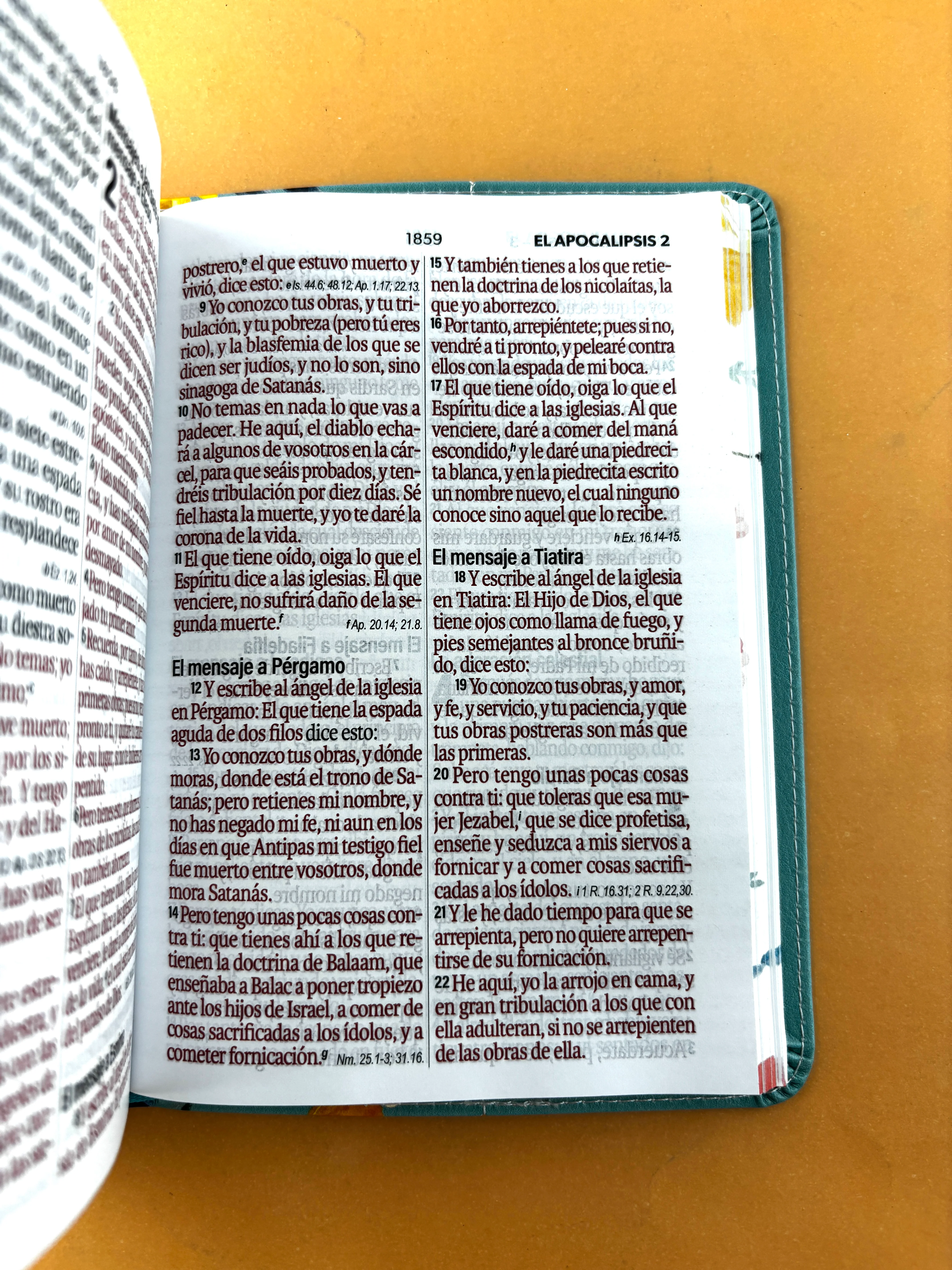 Biblia rvr 1960 letra grande azul aguamarina- flores - canto decorado sin cierre - Image 4
