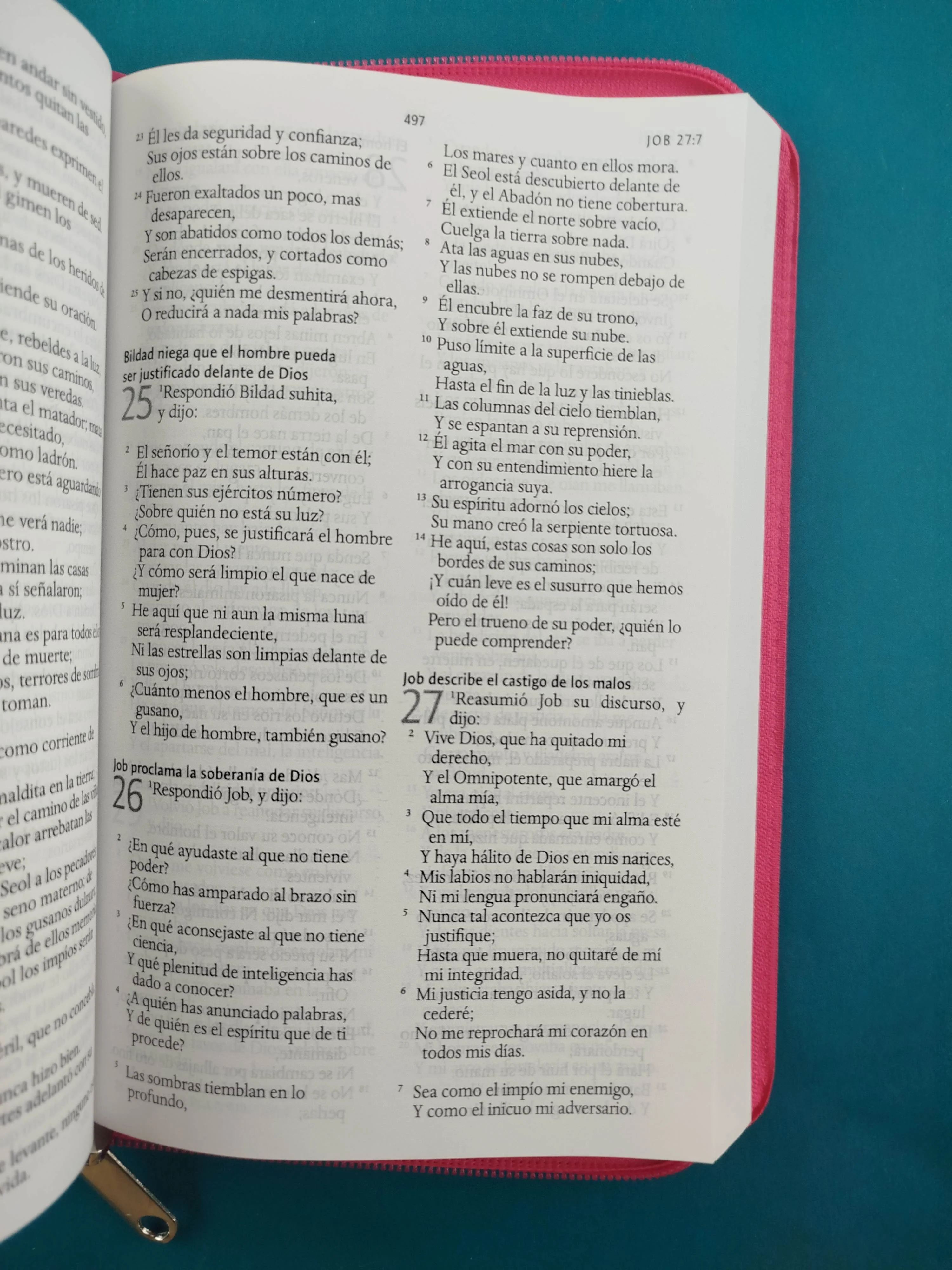 Biblia RVR 1960 Letra Grande con Estuche Fucsia flores - Image 2