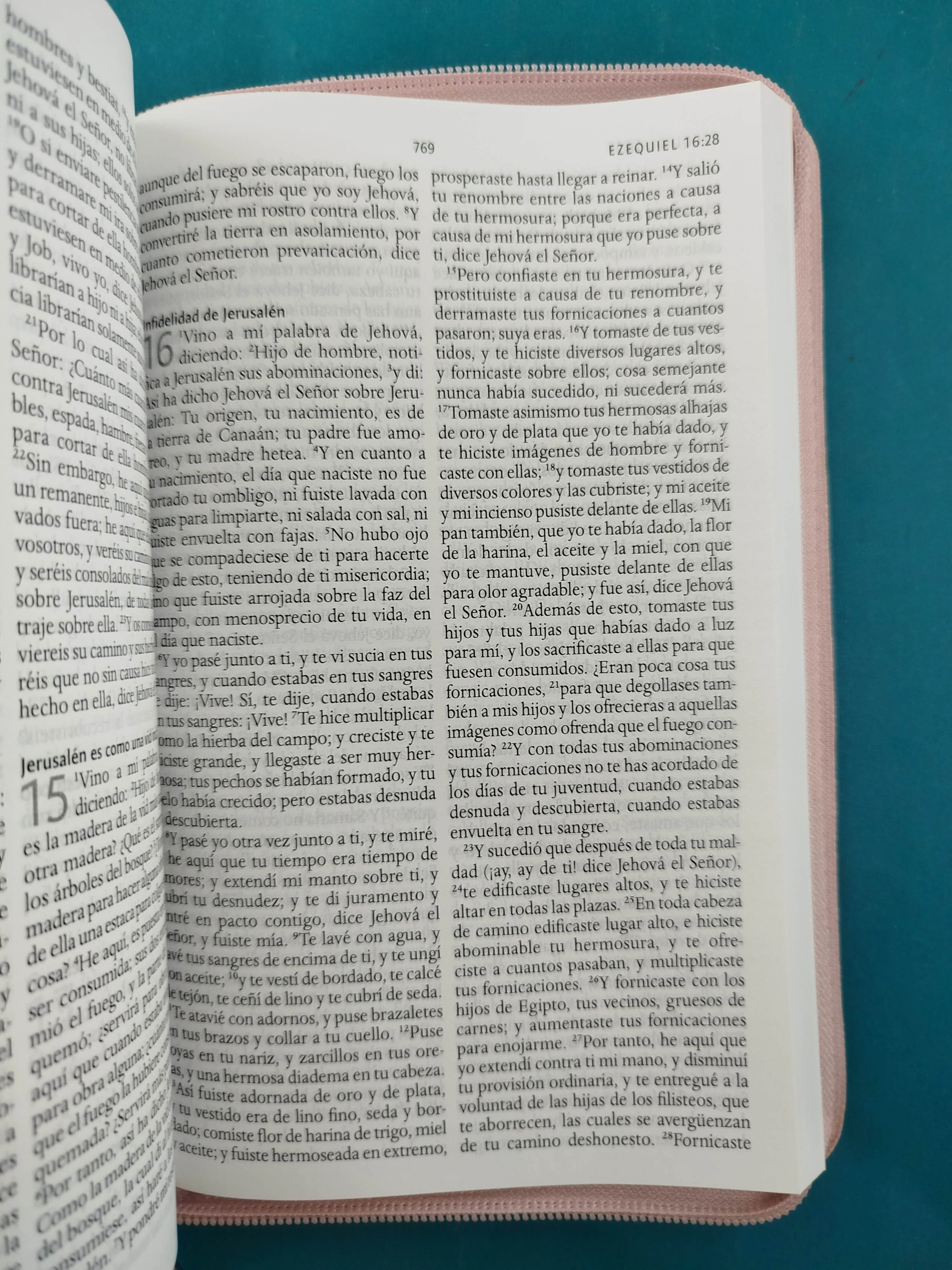 Biblia RVR 1960 Letra Grande Estuche Palo Rosada - Image 4