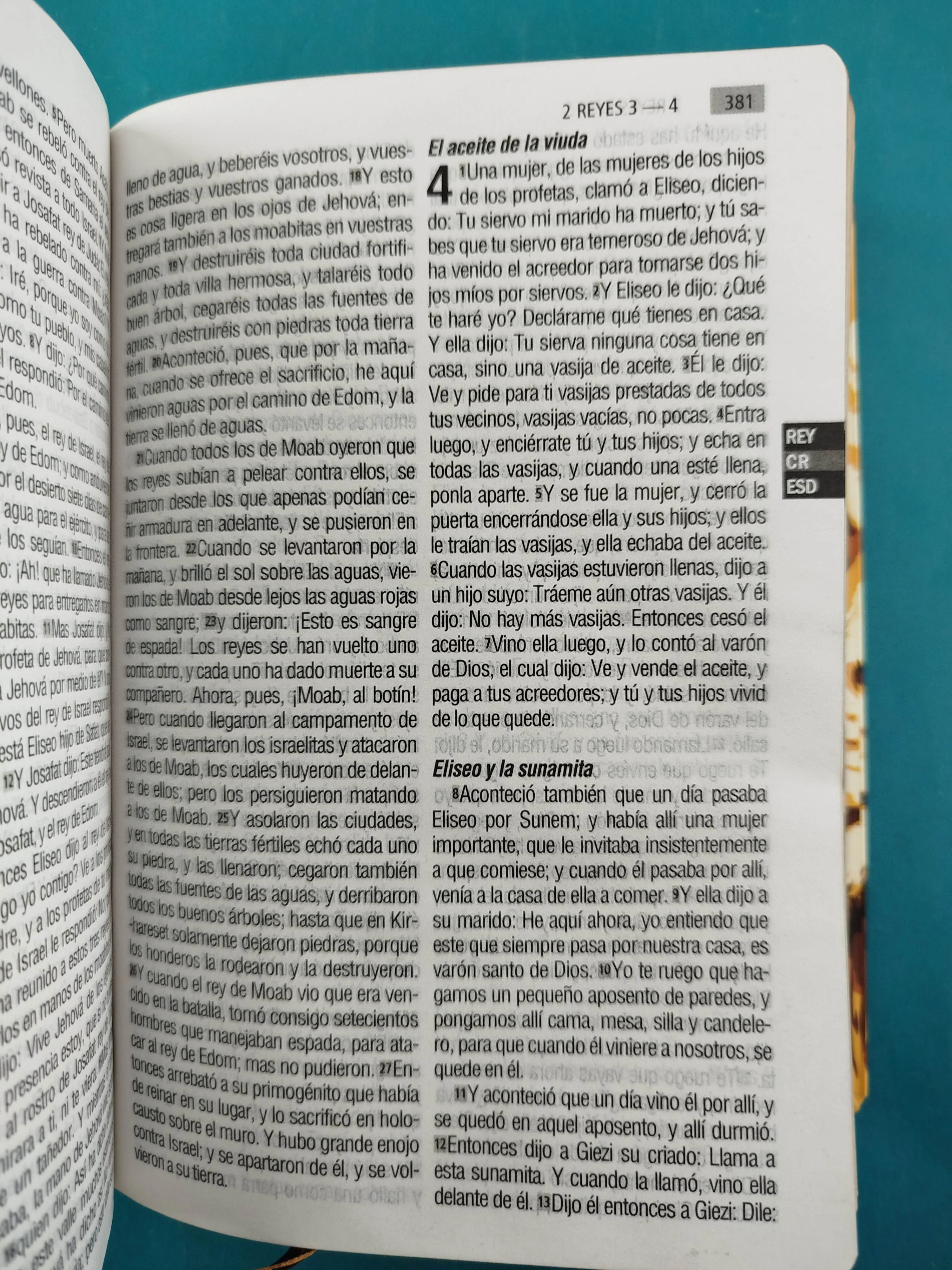 Biblia RVR 1960 Letra Grande leon, tapa flexible, borde dorado, sin cierre - Image 4