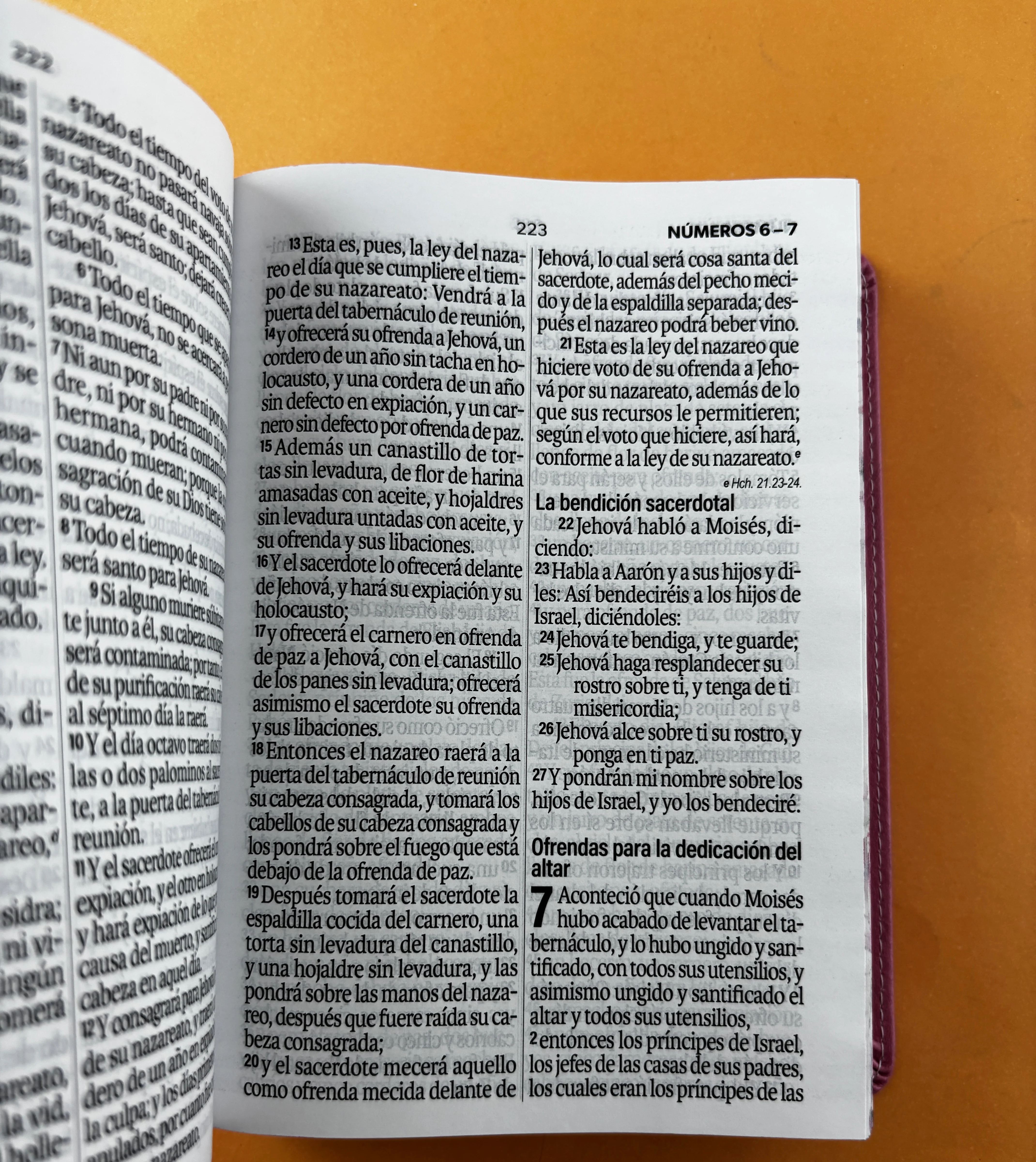 Biblia rvr 1960 letra grande rosada - flores - canto decorado sin cierre - Image 3