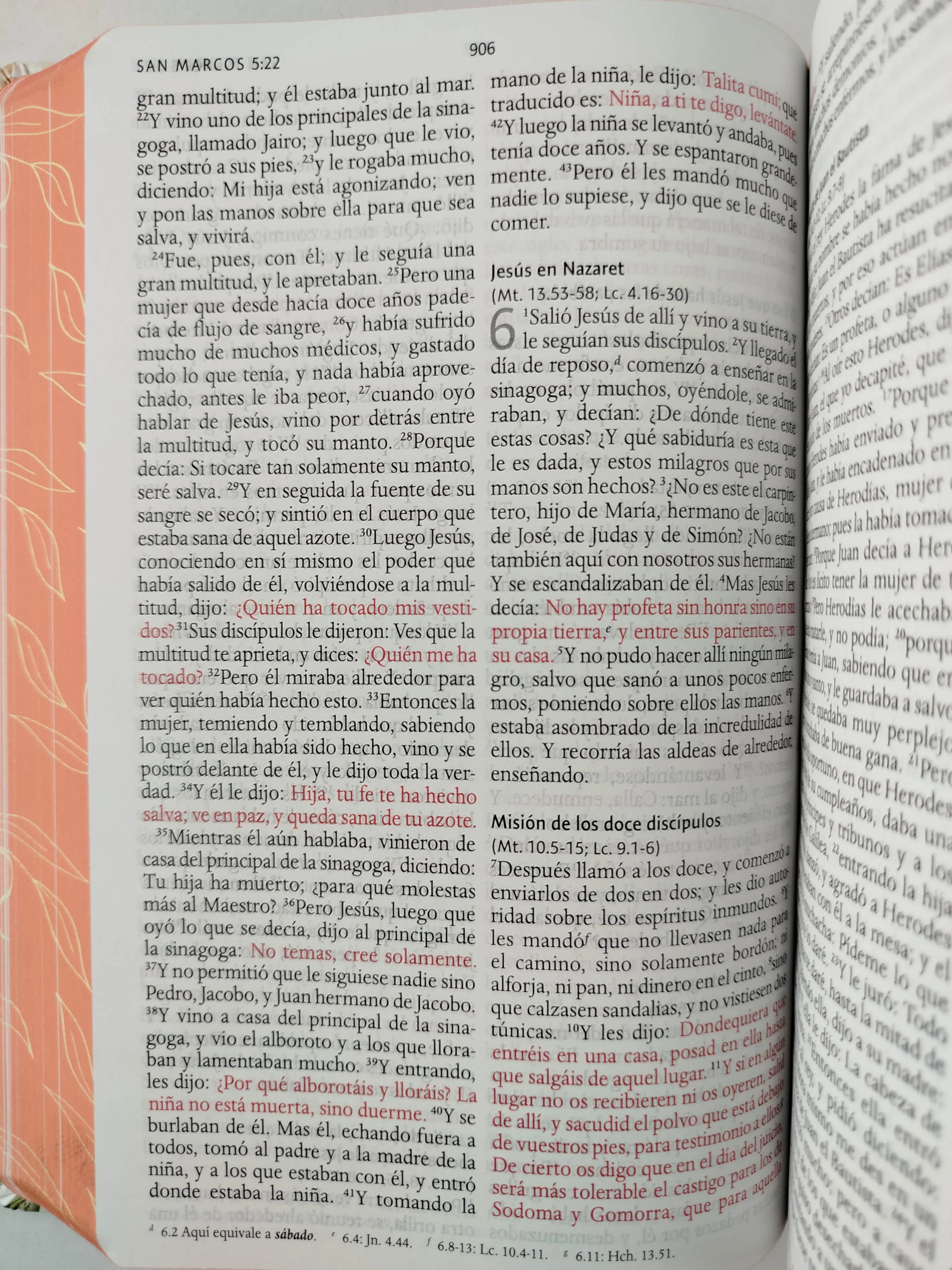 Biblia RVR 1960 letra grande tamaño manual, HC, flores rosadas y cantos pintados - Image 5
