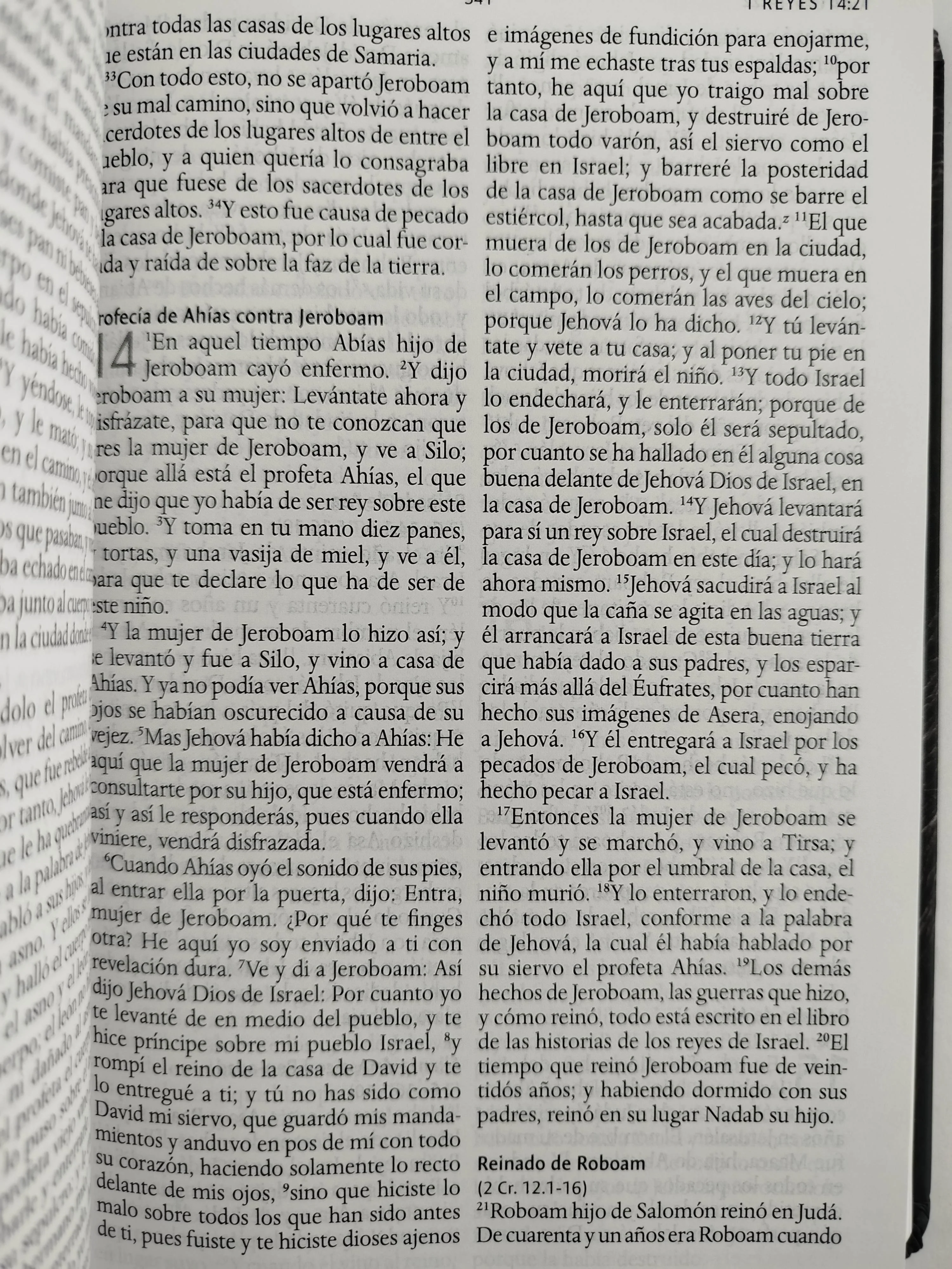 Biblia rvr 1960 letra grande tamaño manual tapa dura león de judá con imágenes de la tierra santa - Image 3