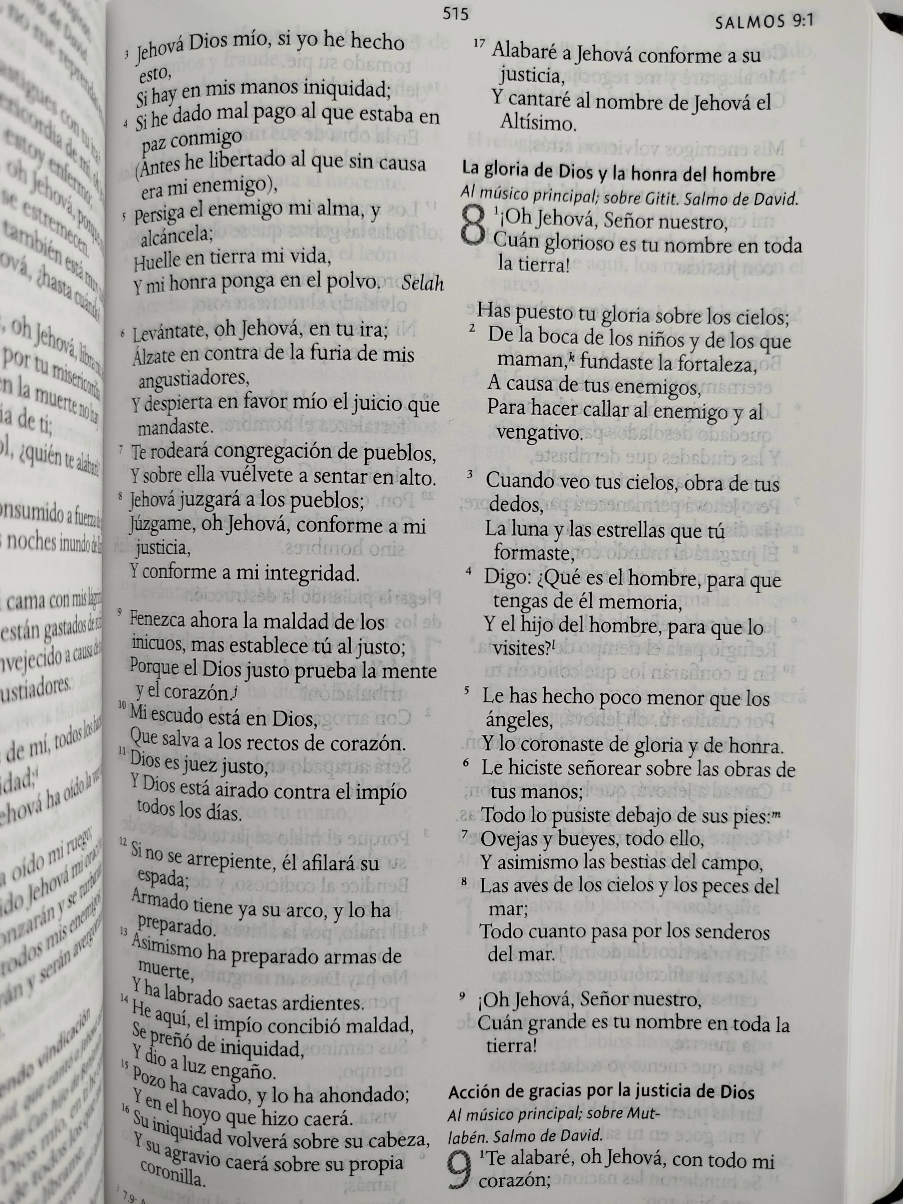 Biblia rvr 1960 letra grande tamaño manual tapa dura león de judá con imágenes de la tierra santa - Image 4