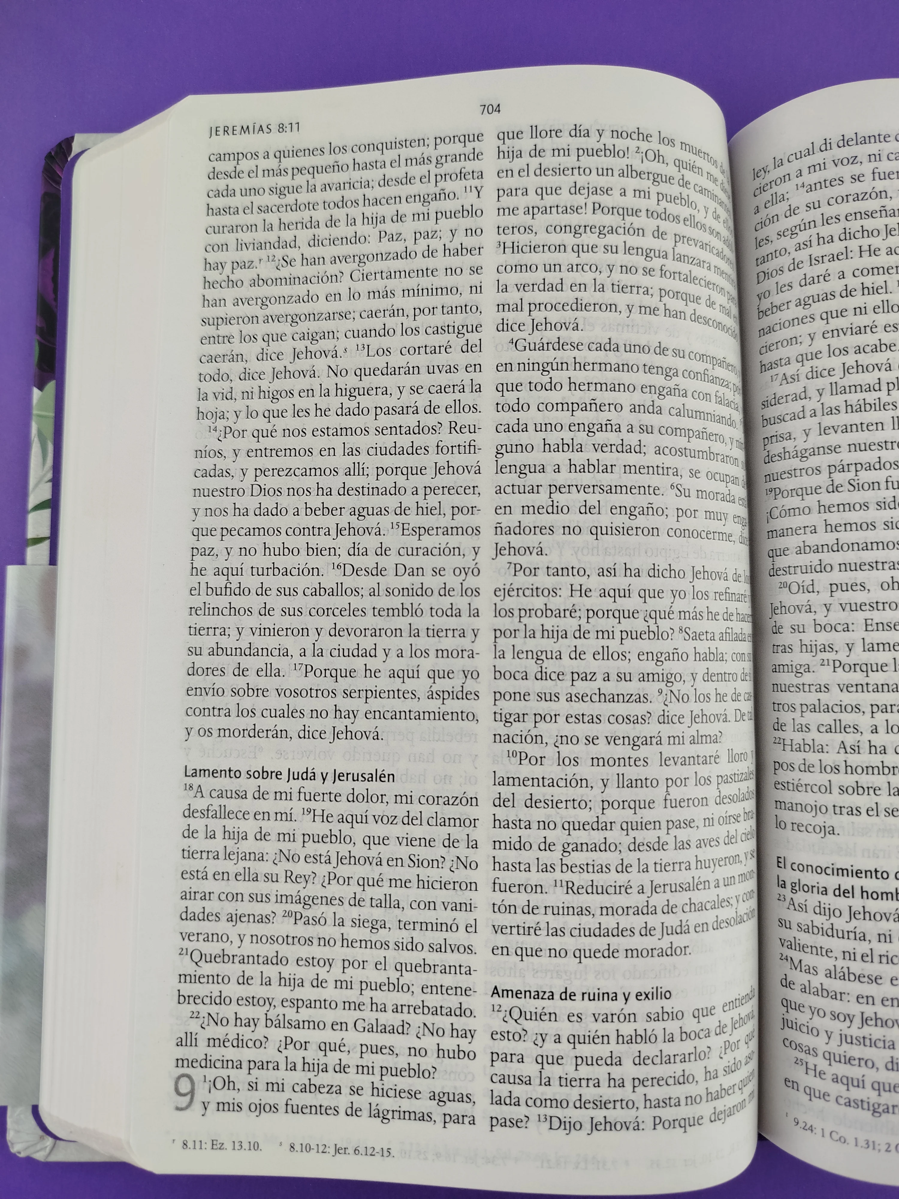 Biblia rvr 1960 letra grande tamaño manual tapa dura tela morada con flores con imágenes de la tierra santa - Image 3
