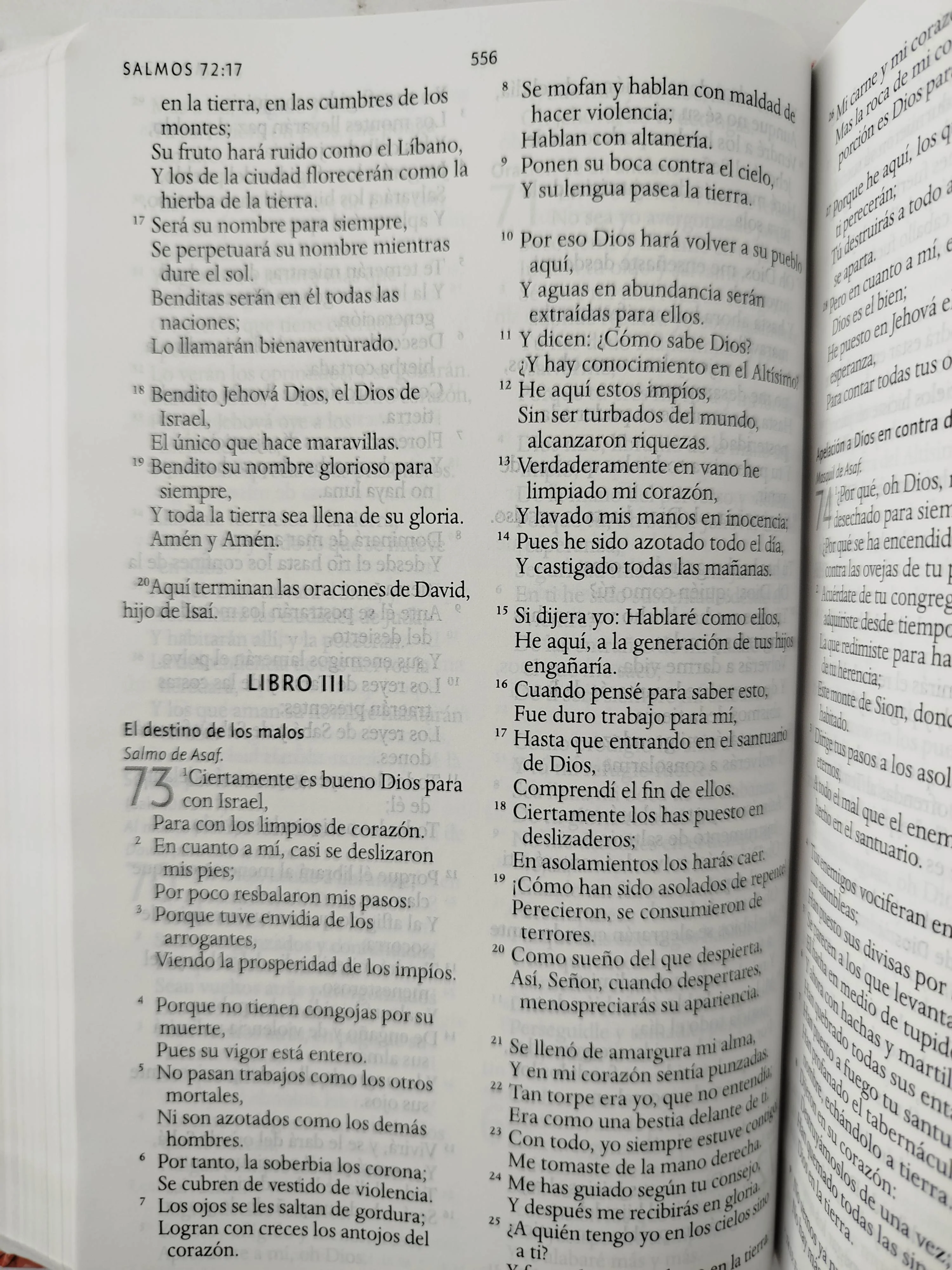 Biblia rvr 1960 letra grande tamaño manual tapa dura tela rosada con flores con imágenes de la tierra santa - Image 3