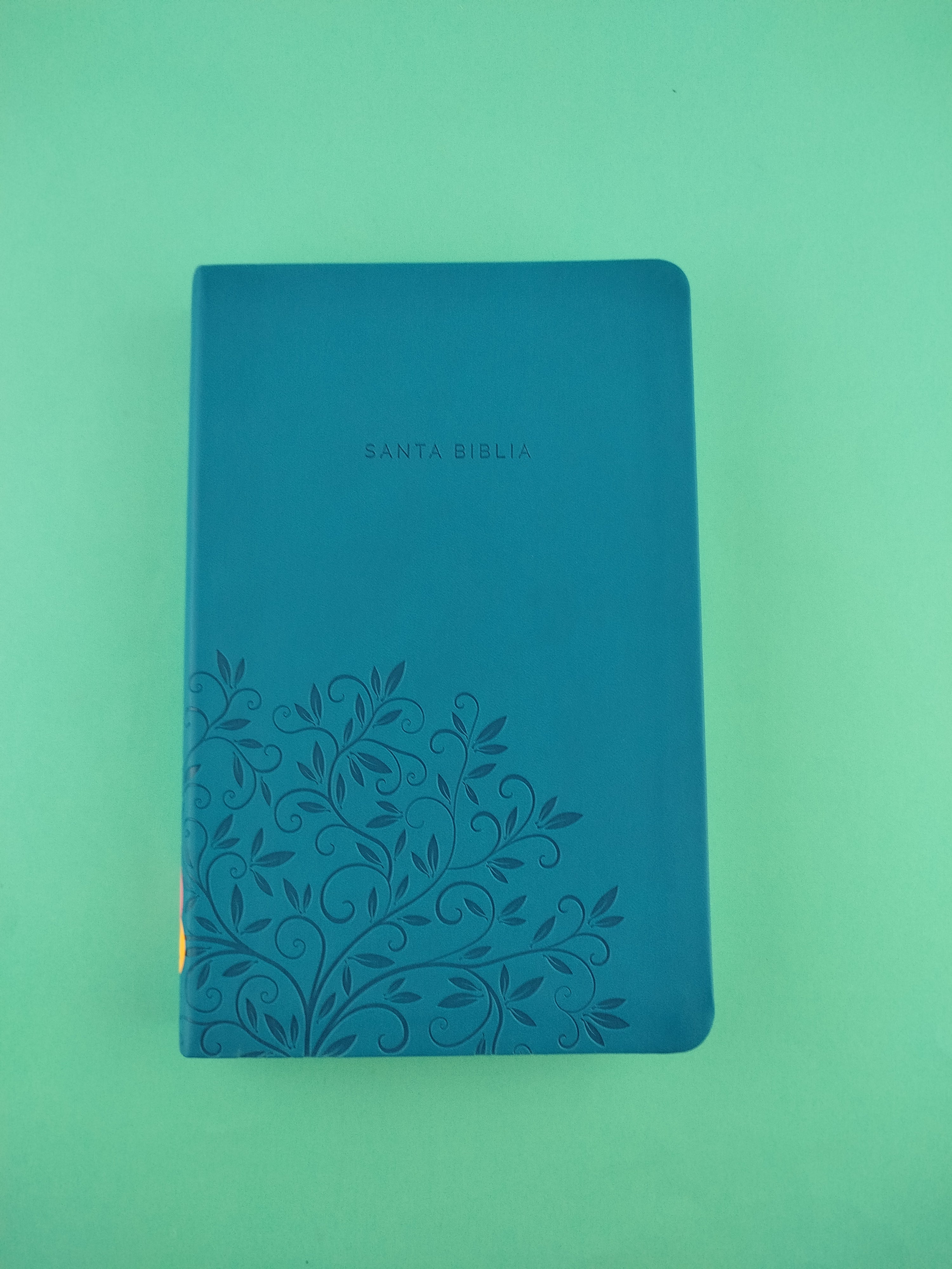 Biblia rvr 1960 letra grande tipo agenda azul sin cierre borde plateado e imágenes de la tierra santa tamaño manual - Image 3