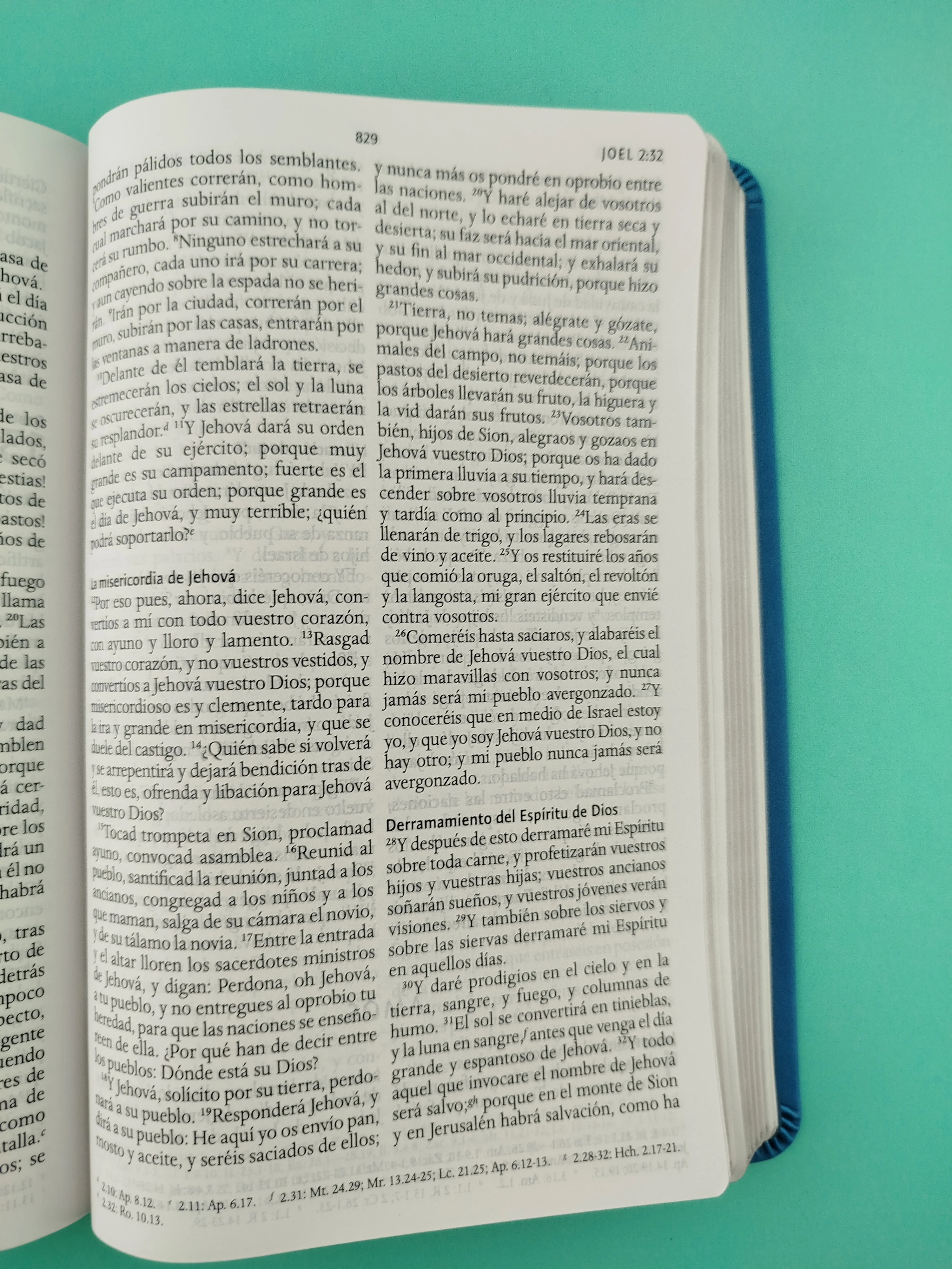 Biblia rvr 1960 letra grande tipo agenda azul sin cierre borde plateado e imágenes de la tierra santa tamaño manual - Image 4