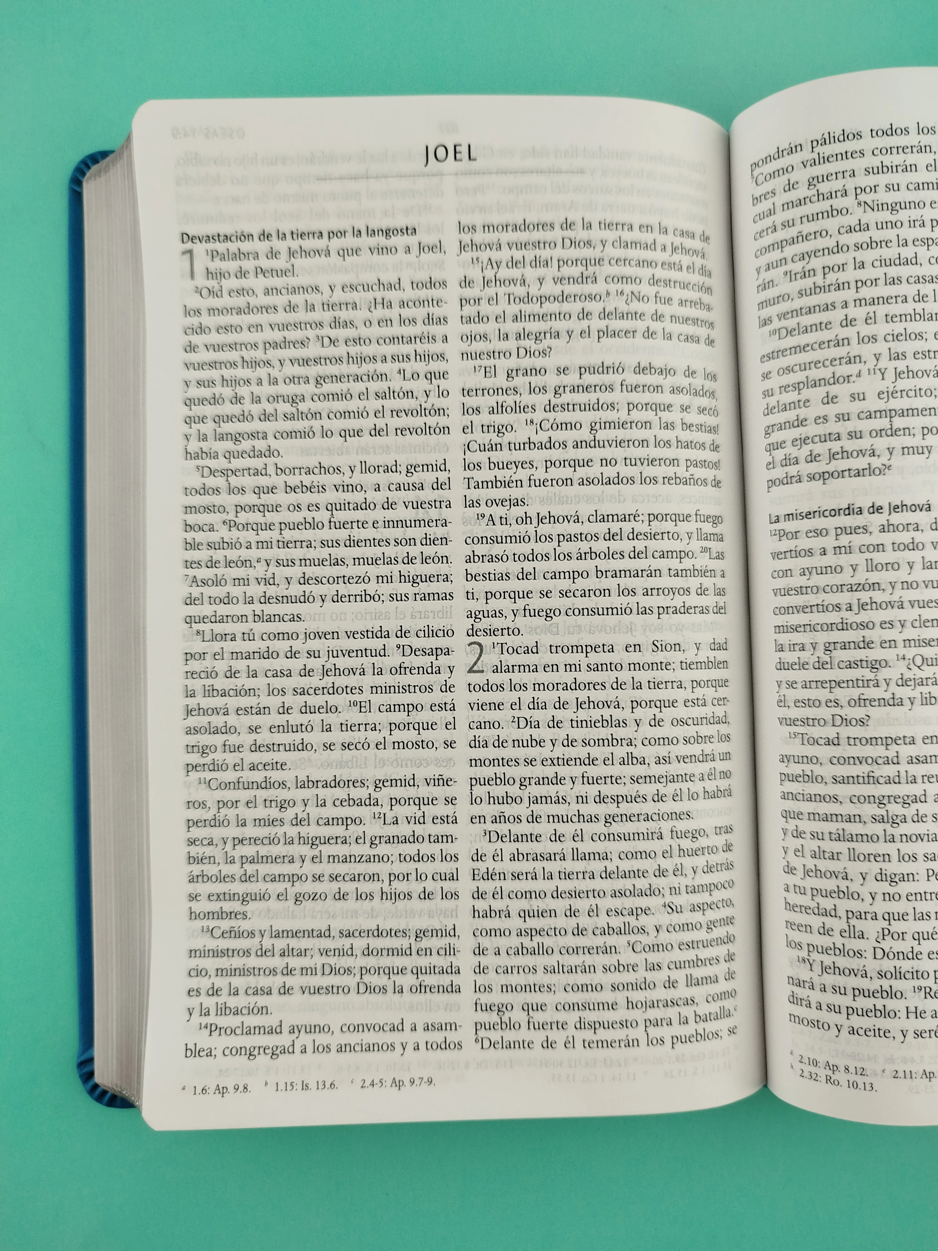 Biblia rvr 1960 letra grande tipo agenda azul sin cierre borde plateado e imágenes de la tierra santa tamaño manual - Image 5