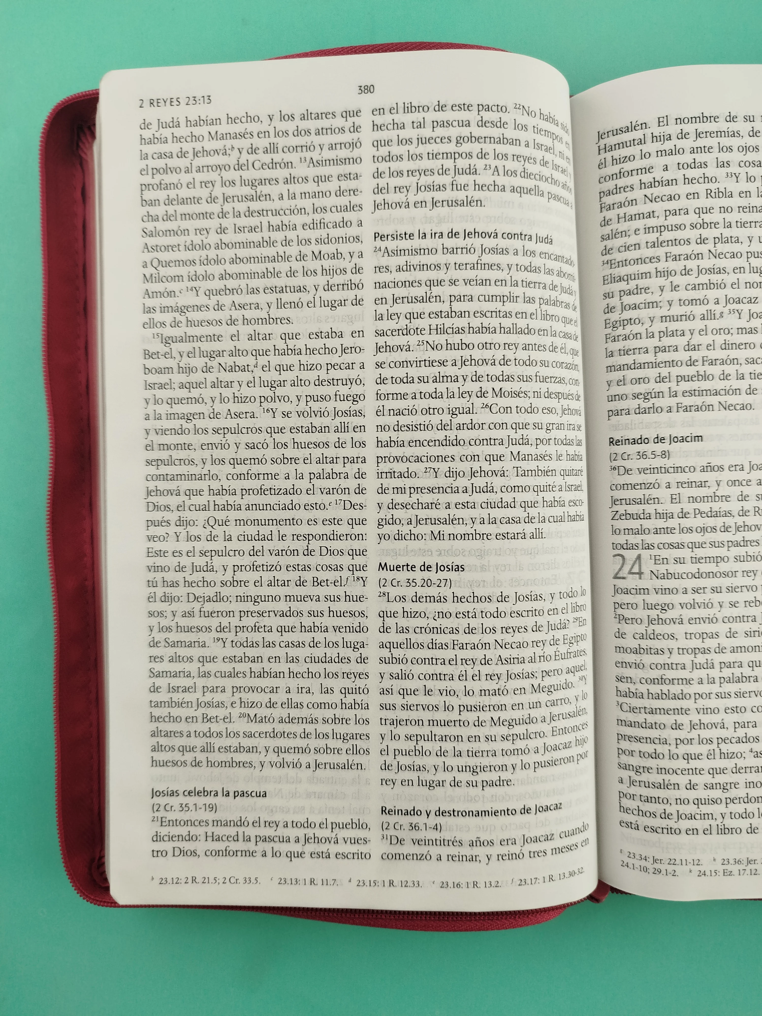 Biblia rvr 1960 letra grande tipo agenda fucsia con cierre e imágenes de la tierra santa tamaño manual - Image 5