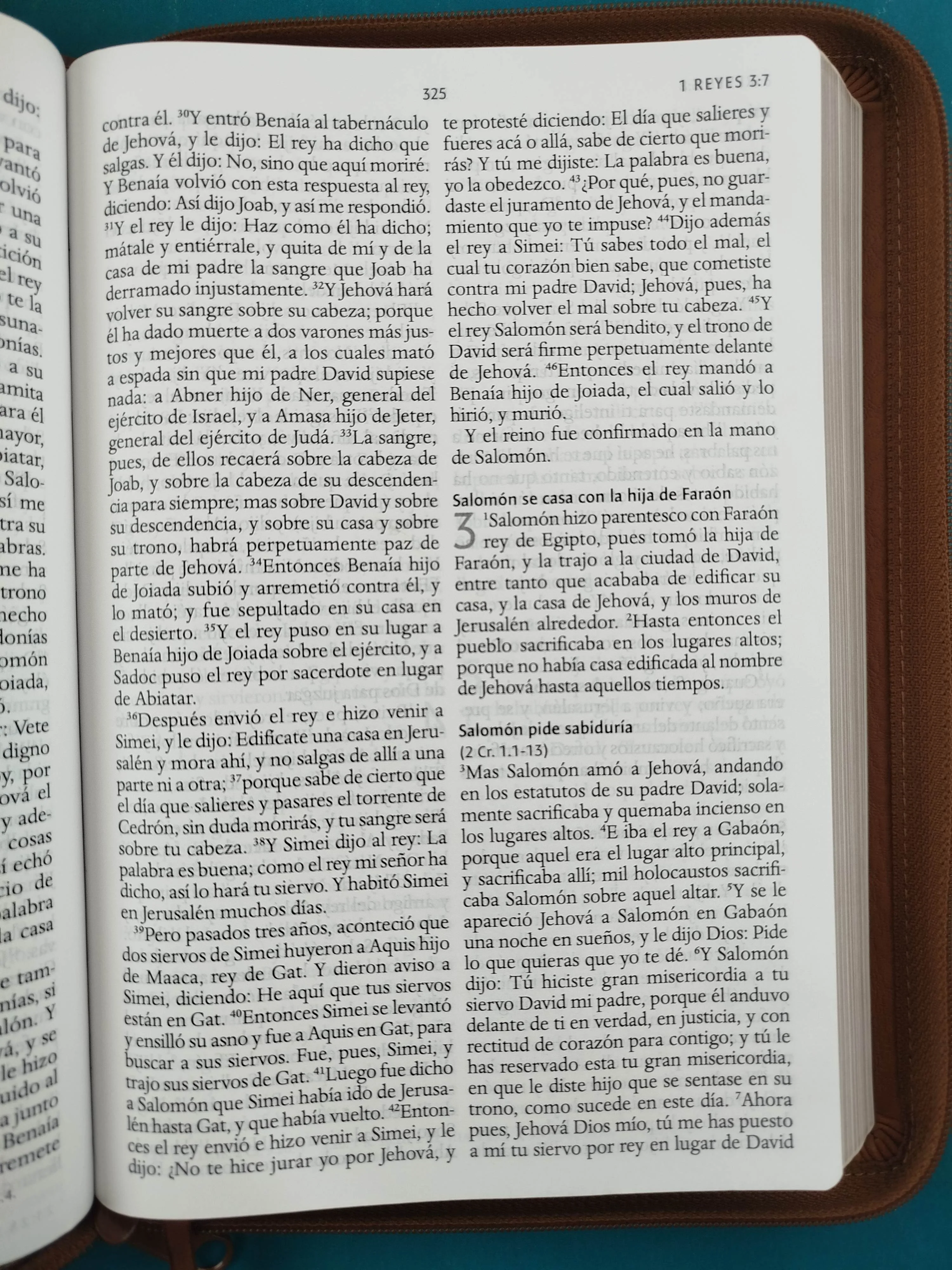 Biblia rvr 1960 letra grande tipo agenda marrón miel con cierre e imágenes de la tierra santa - Image 4