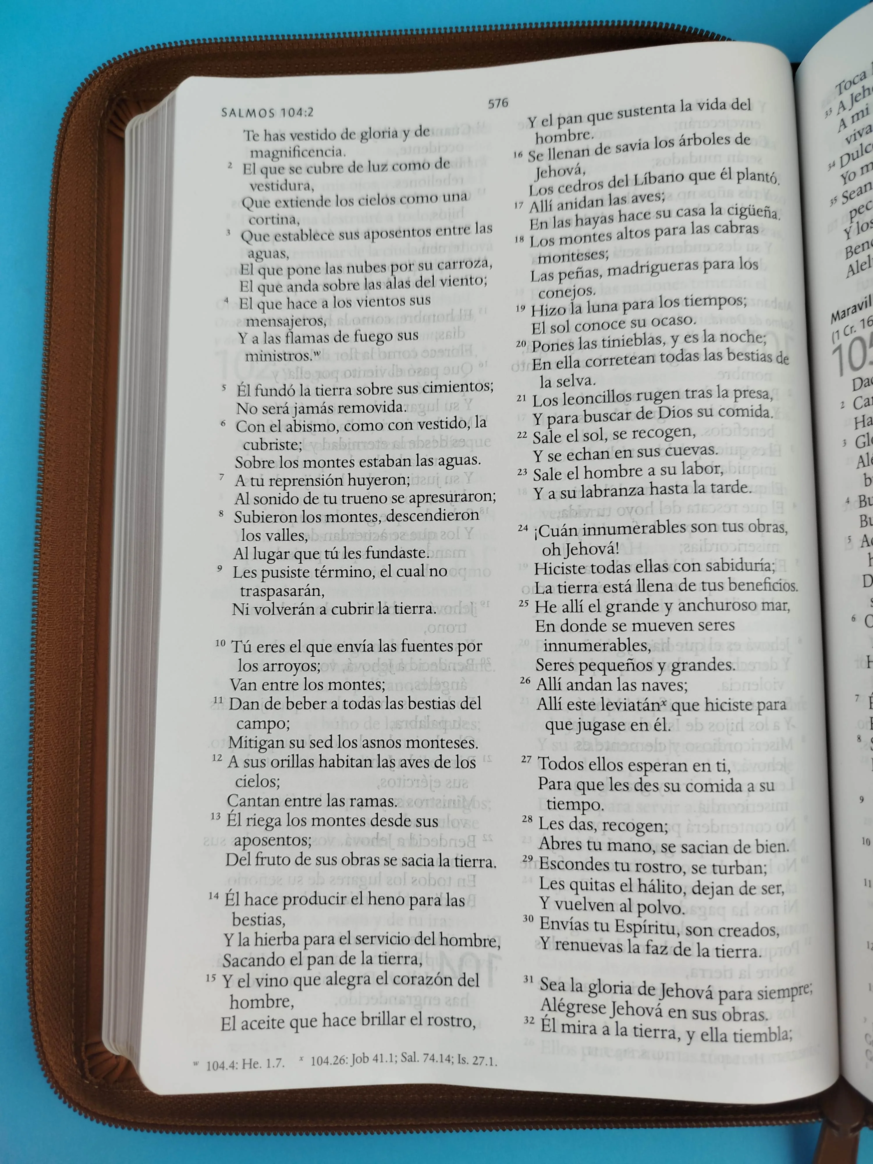Biblia rvr 1960 letra grande tipo agenda marrón miel con cierre e imágenes de la tierra santa - Image 3