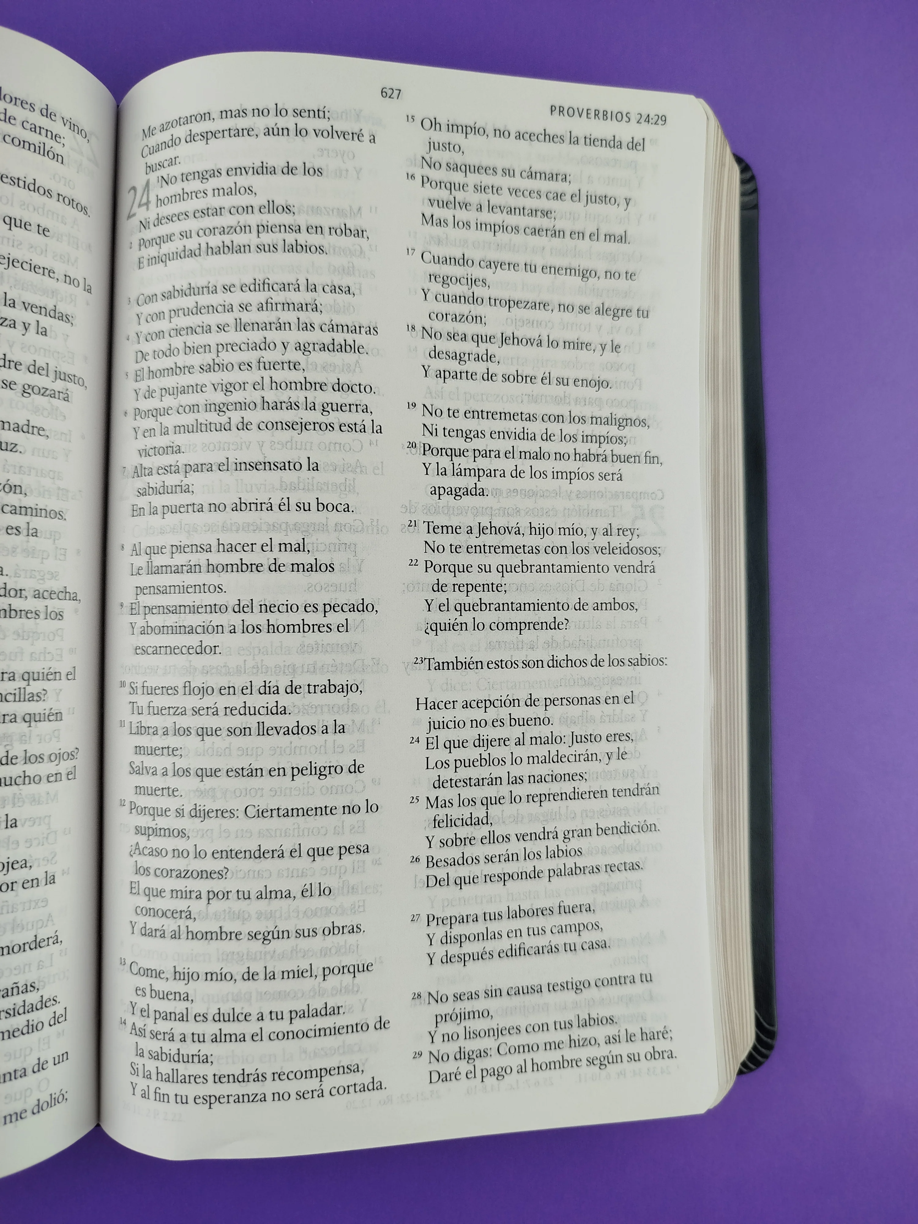Biblia rvr 1960 letra grande tipo agenda negra sin cierre borde dorado e imágenes de la tierra santa tamaño manual - Image 3